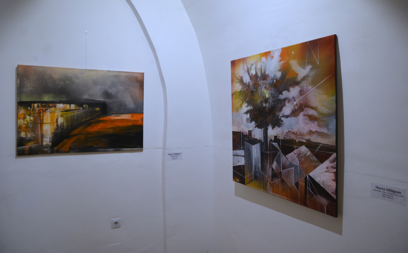 Expoziţie Horea Sălăgean (28)