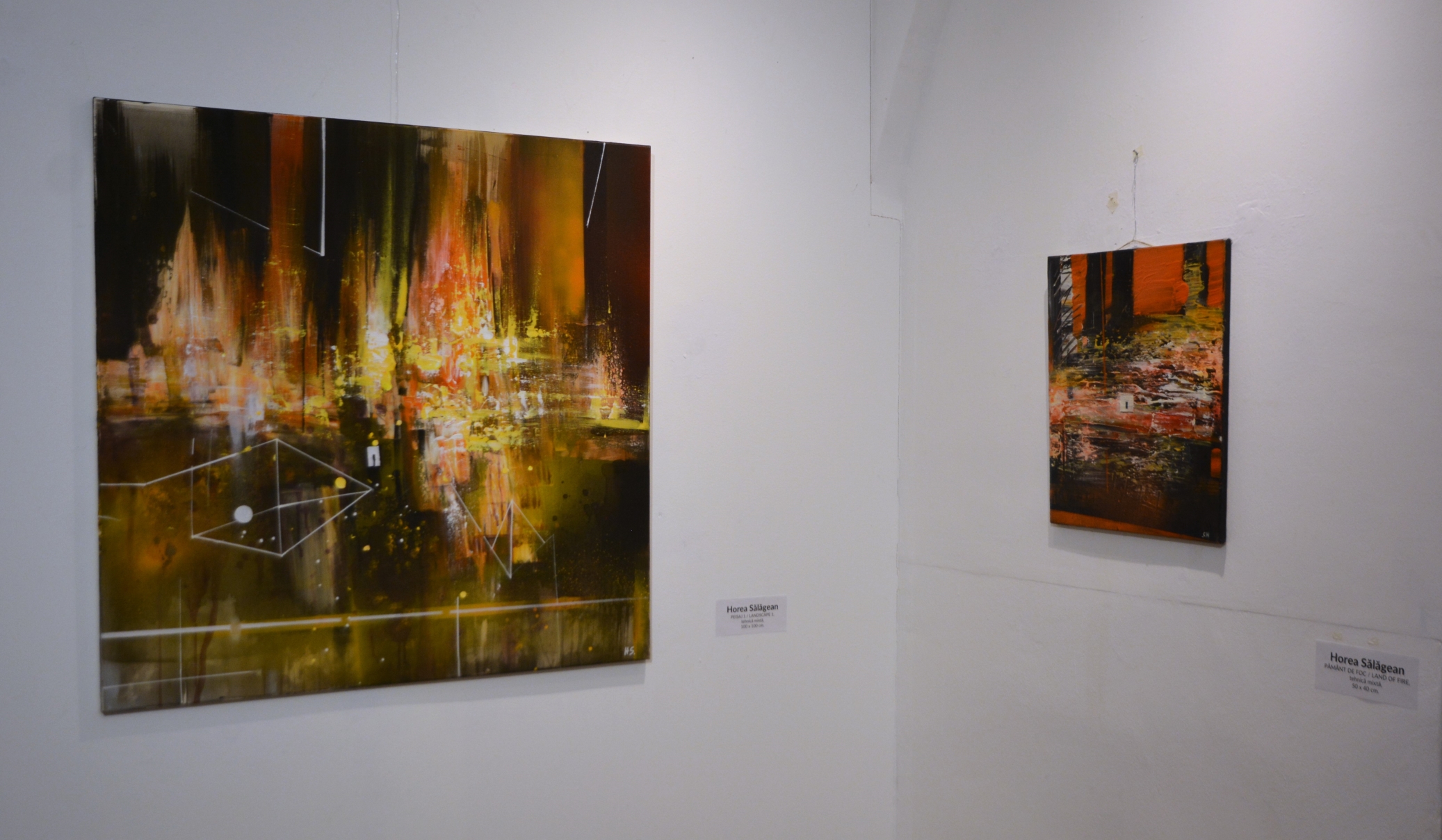 Expoziţie Horea Sălăgean (29)