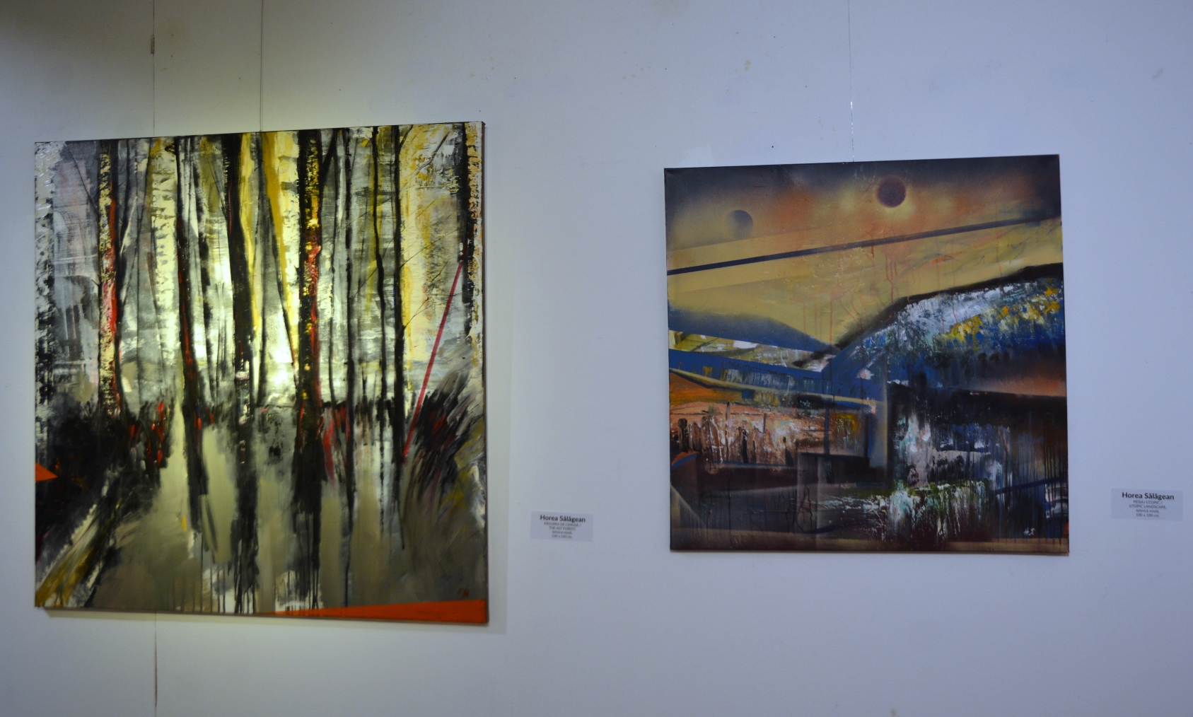 Expoziţie Horea Sălăgean (30)