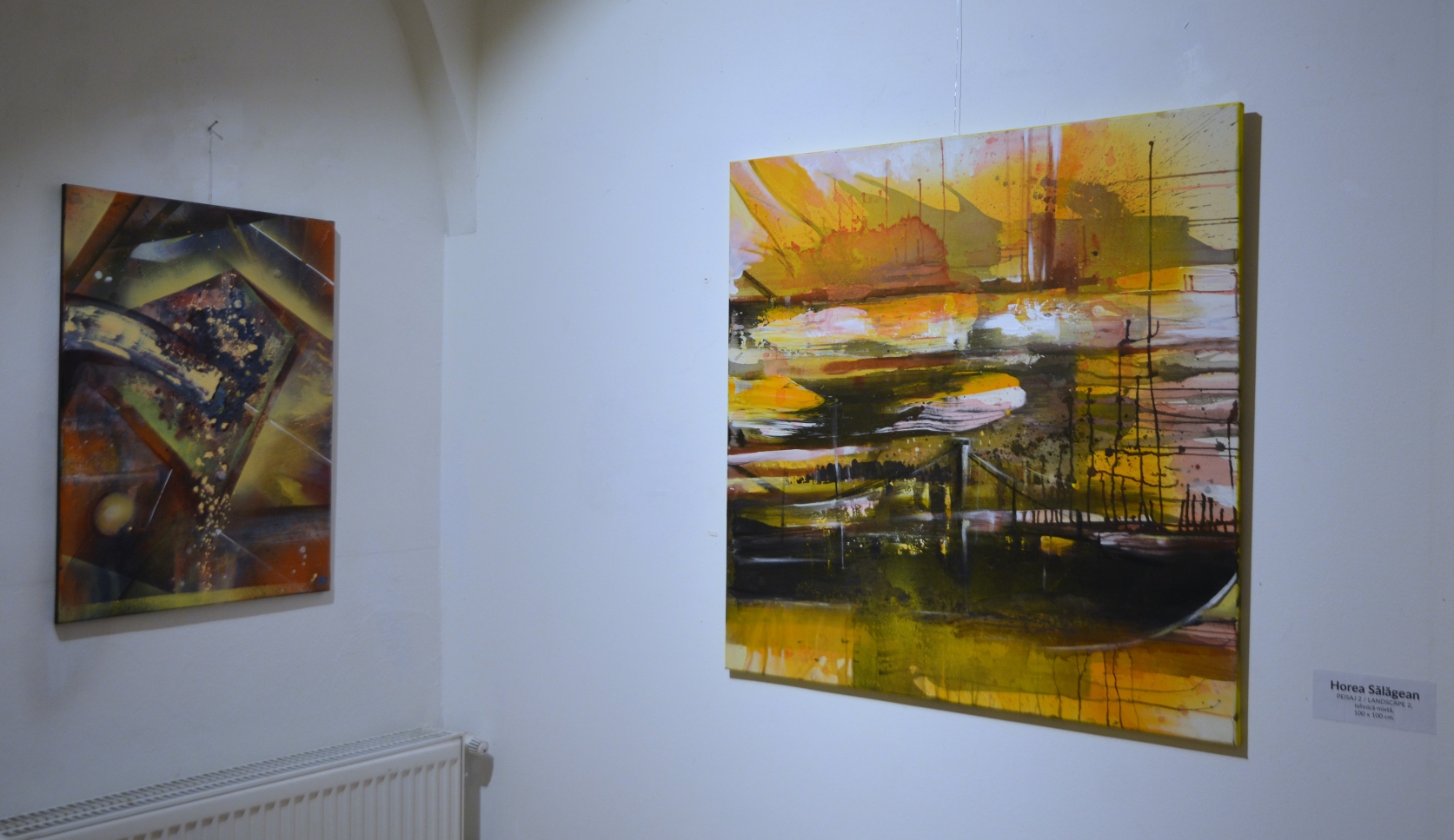 Expoziţie Horea Sălăgean (31)