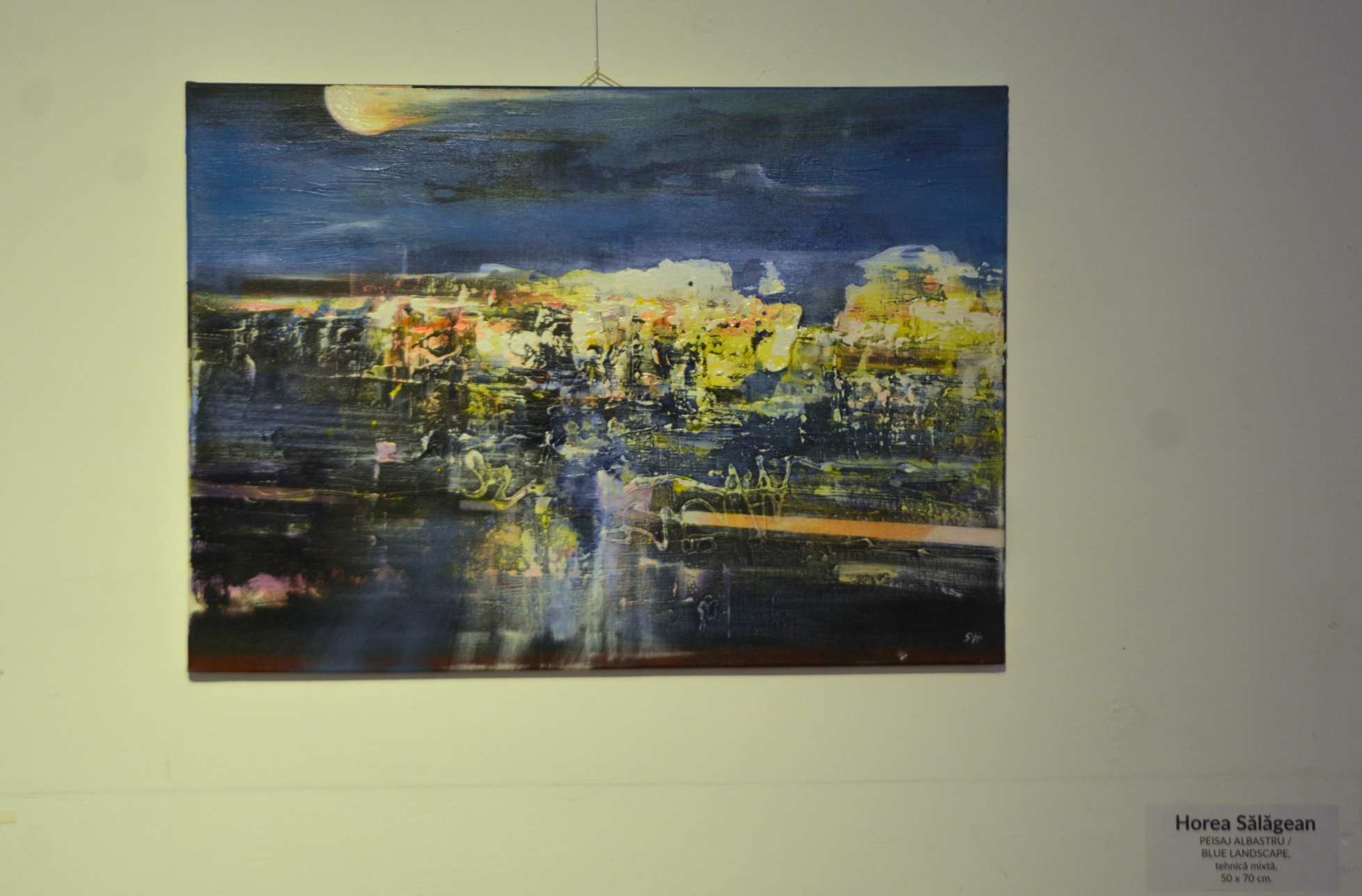 Expoziţie Horea Sălăgean (32)