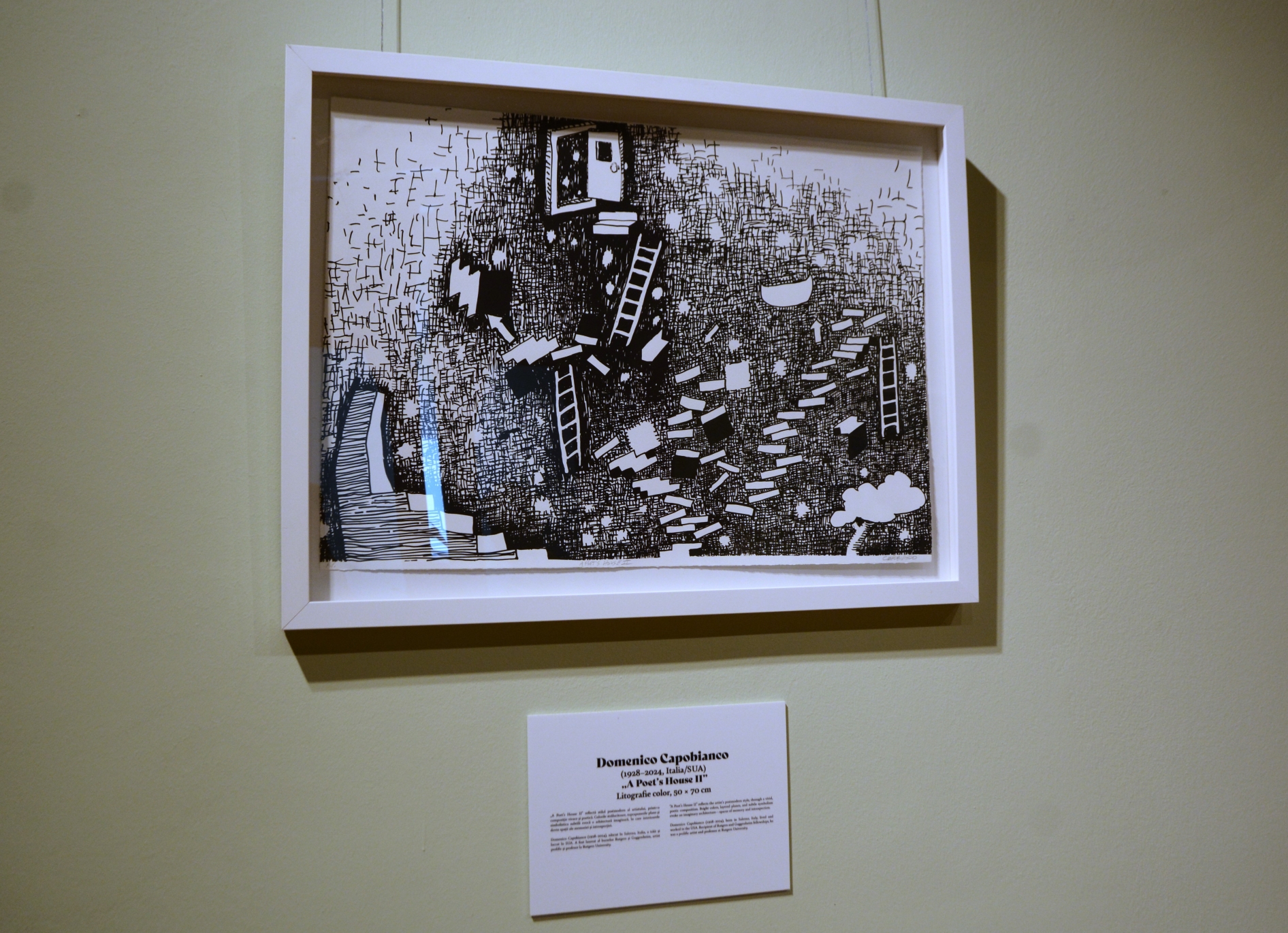 Expoziţia Un secol de grafică, de la Goya la Boeriu (1)