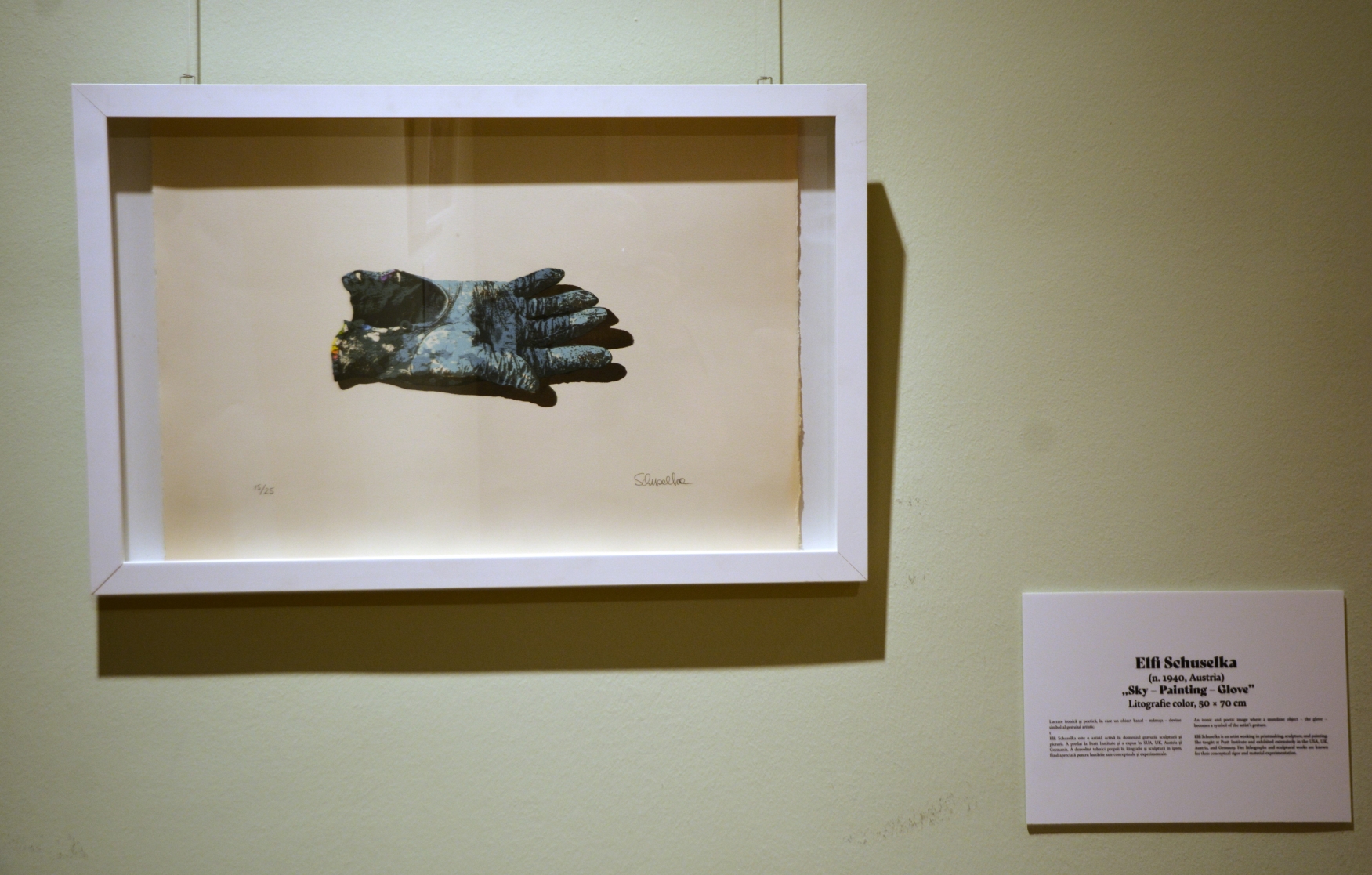 Expoziţia Un secol de grafică, de la Goya la Boeriu (2)