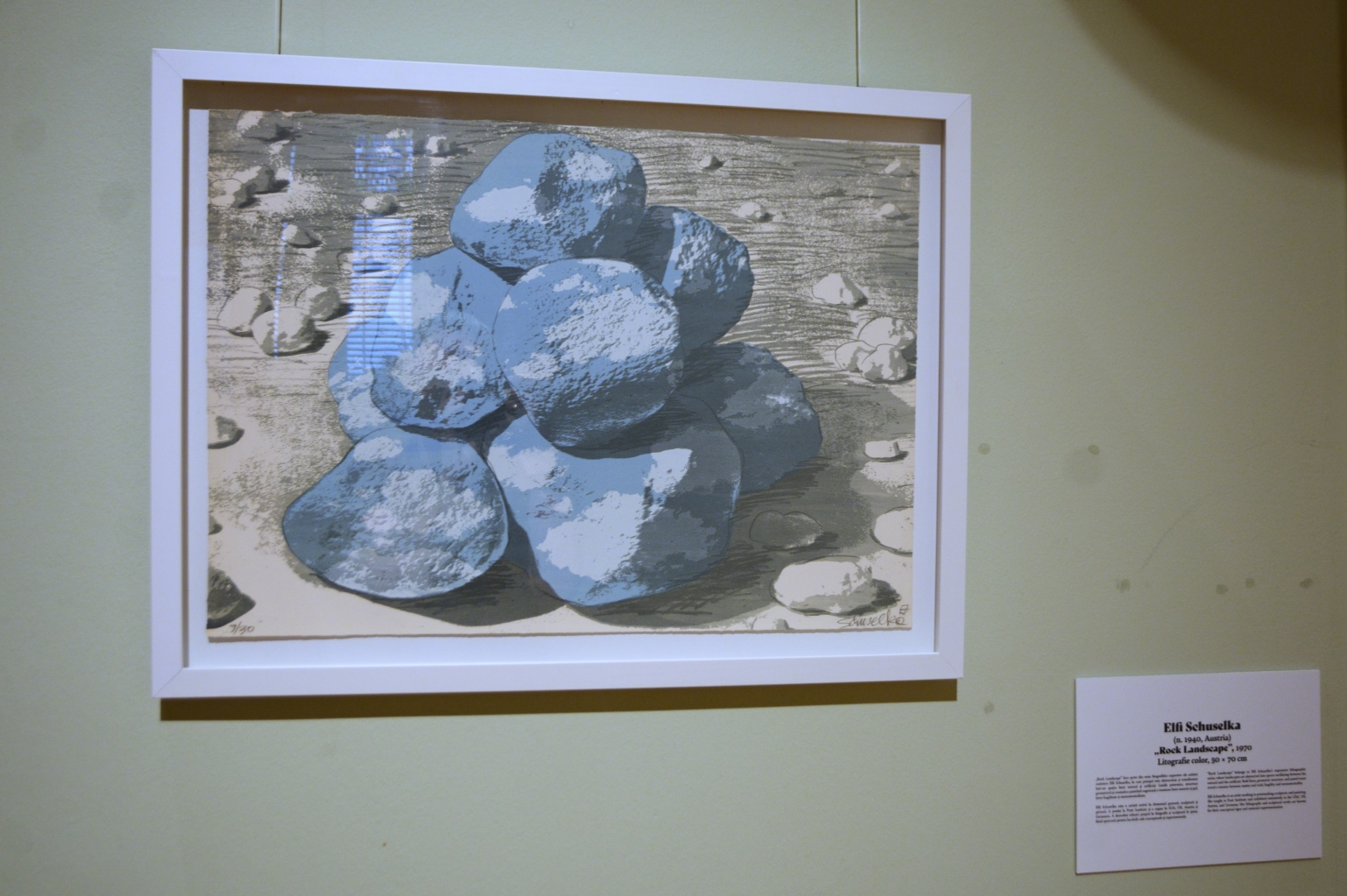 Expoziţia Un secol de grafică, de la Goya la Boeriu (3)