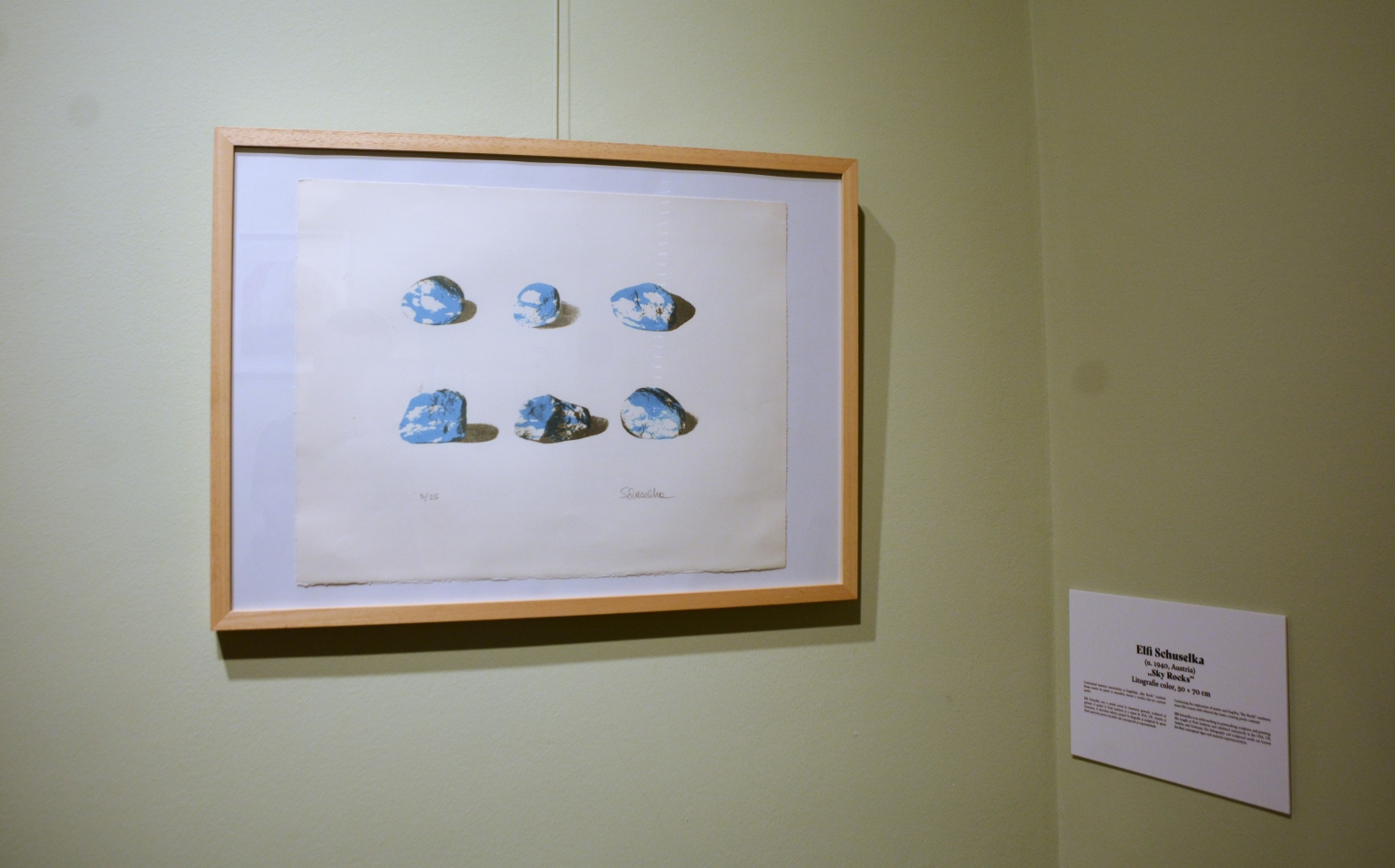 Expoziţia Un secol de grafică, de la Goya la Boeriu (5)