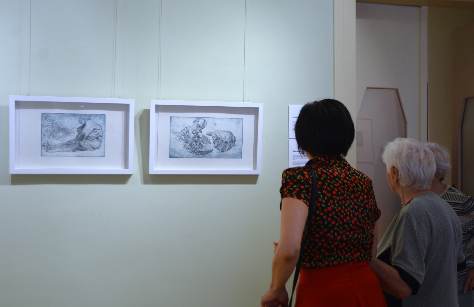 Expoziţia Un secol de grafică, de la Goya la Boeriu (7)