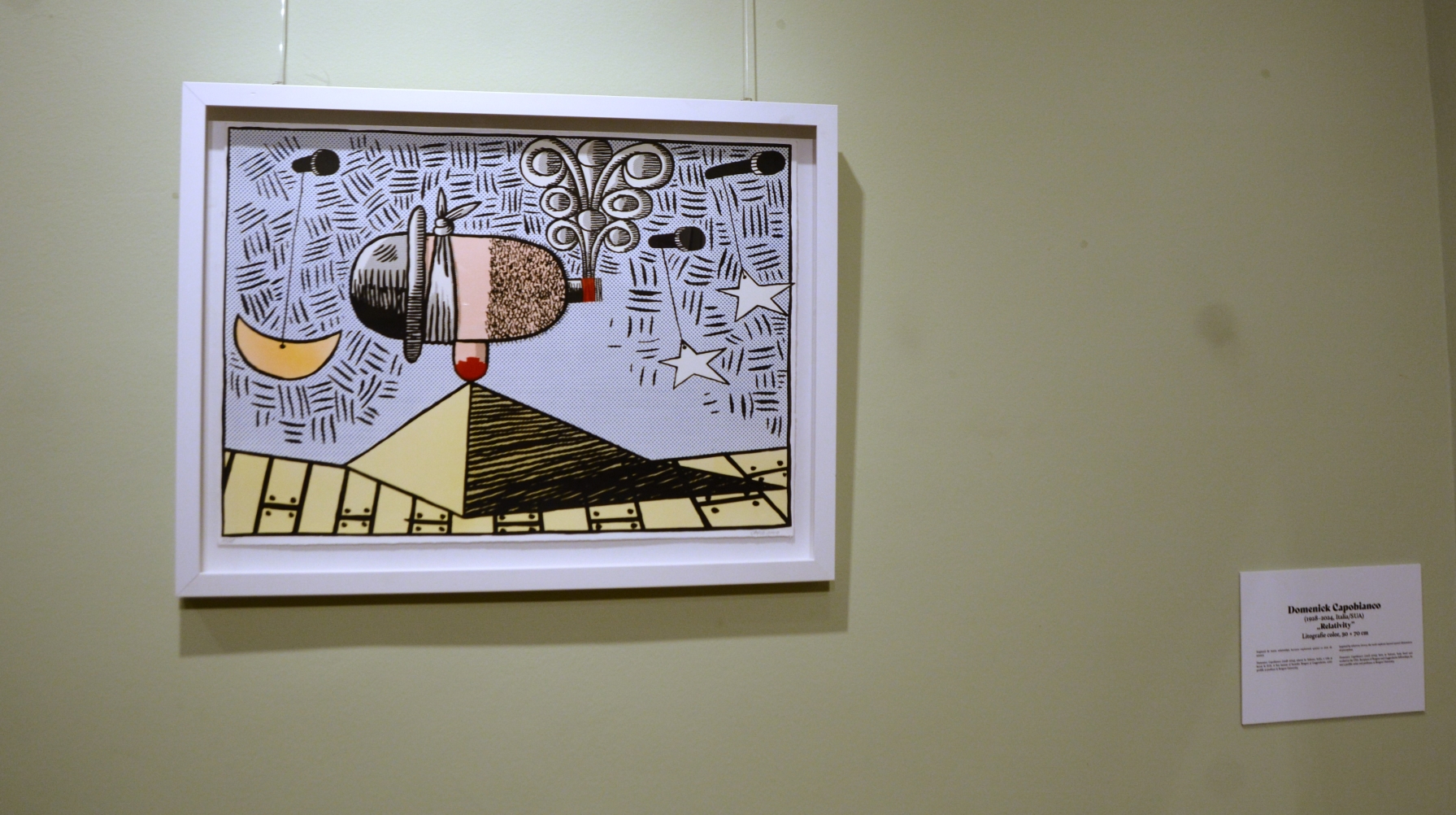 Expoziţia Un secol de grafică, de la Goya la Boeriu (8)