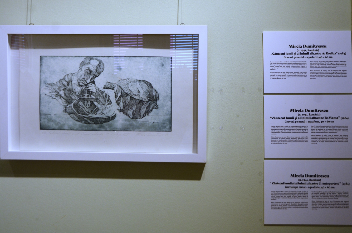 Expoziţia Un secol de grafică, de la Goya la Boeriu (11)