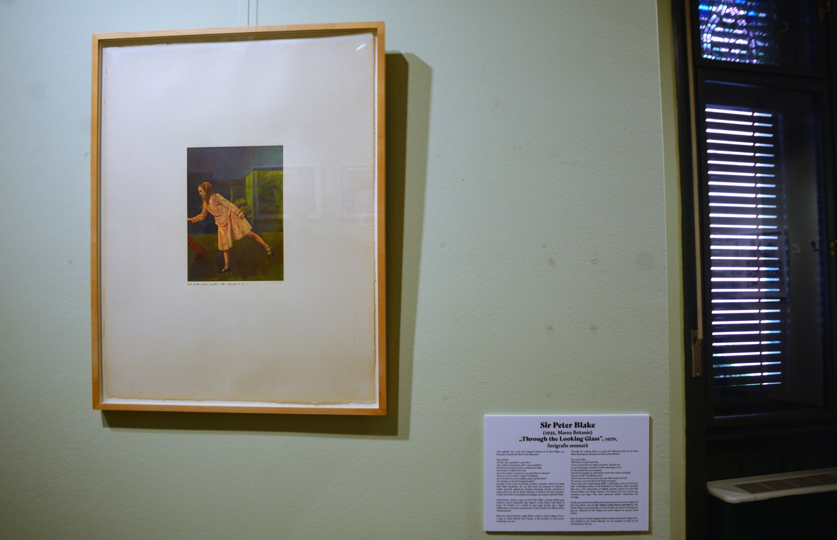 Expoziţia Un secol de grafică, de la Goya la Boeriu (13)