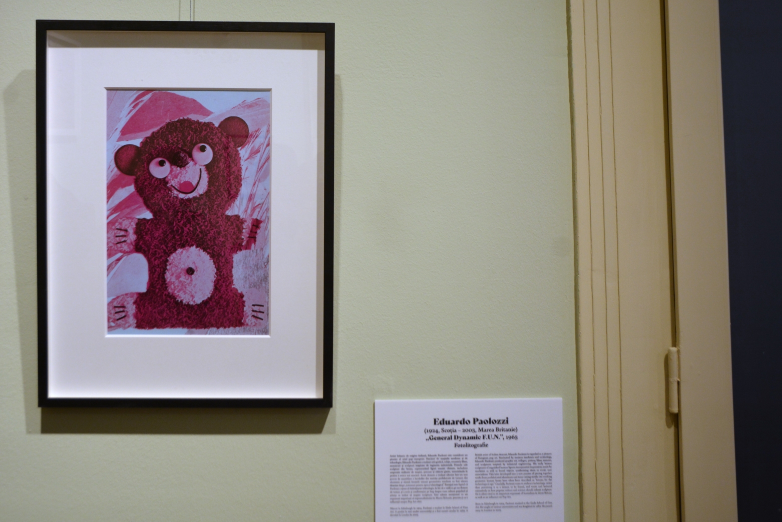 Expoziţia Un secol de grafică, de la Goya la Boeriu (15)