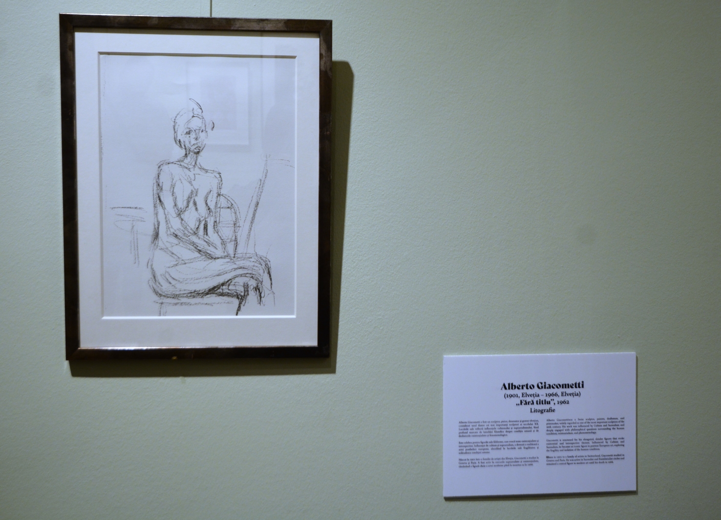 Expoziţia Un secol de grafică, de la Goya la Boeriu (19)