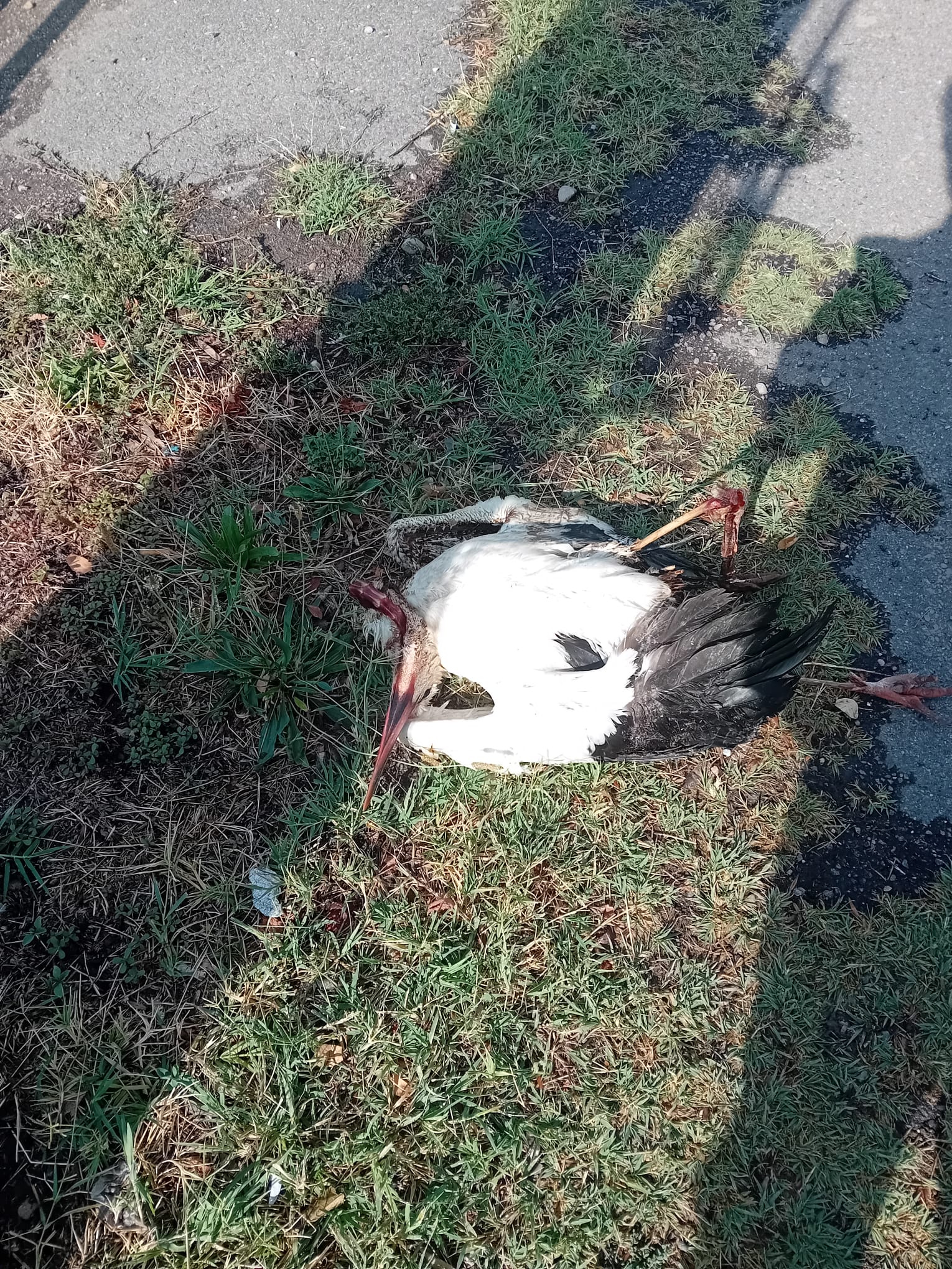 WhatsApp Image 2025-08-04 at 10.42.18 (2)