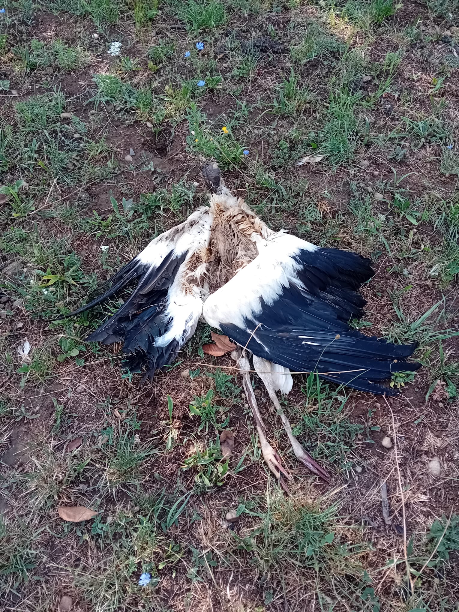 WhatsApp Image 2025-08-04 at 10.42.18 (3)