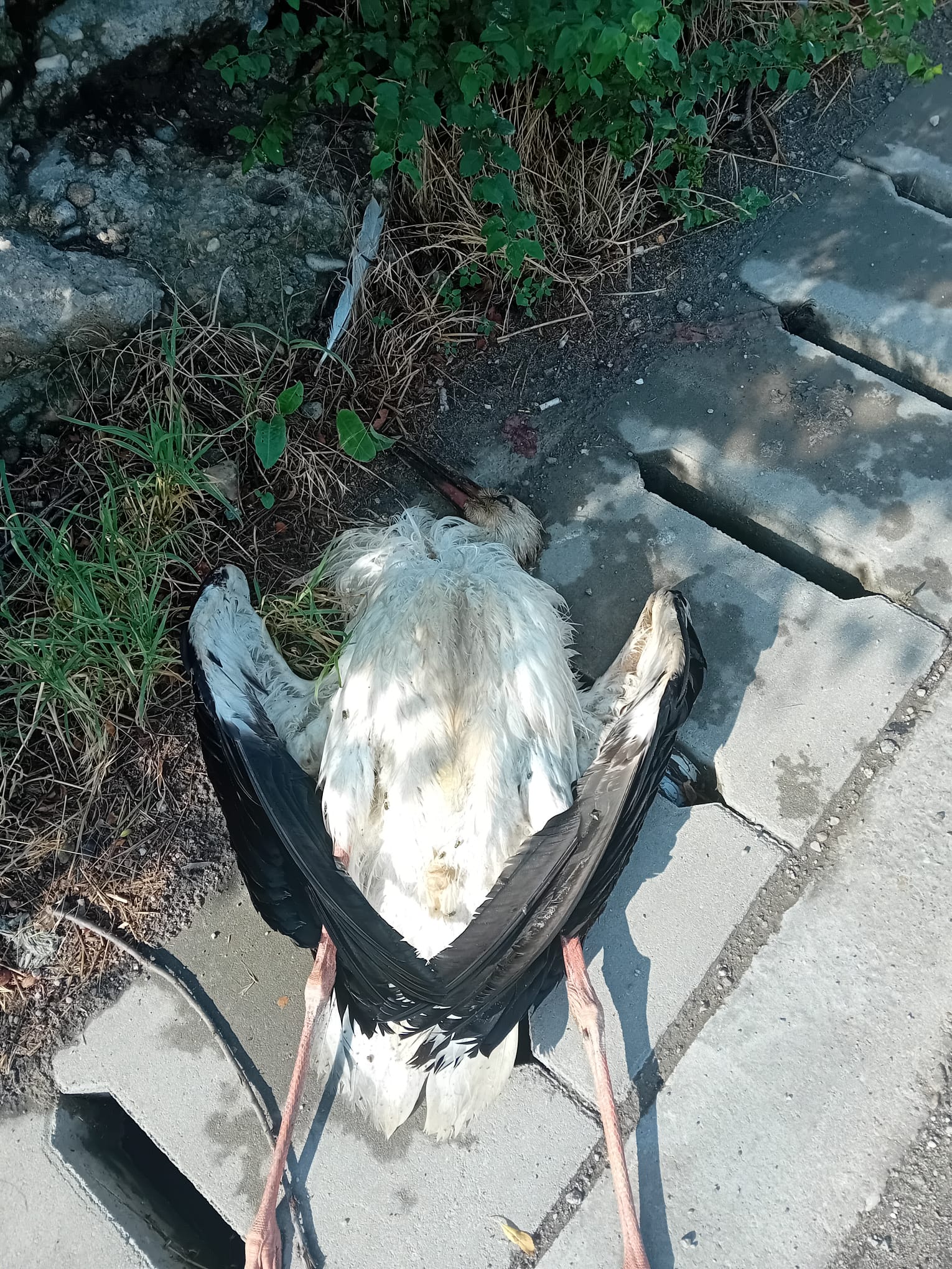 WhatsApp Image 2025-08-04 at 10.42.18 (4)