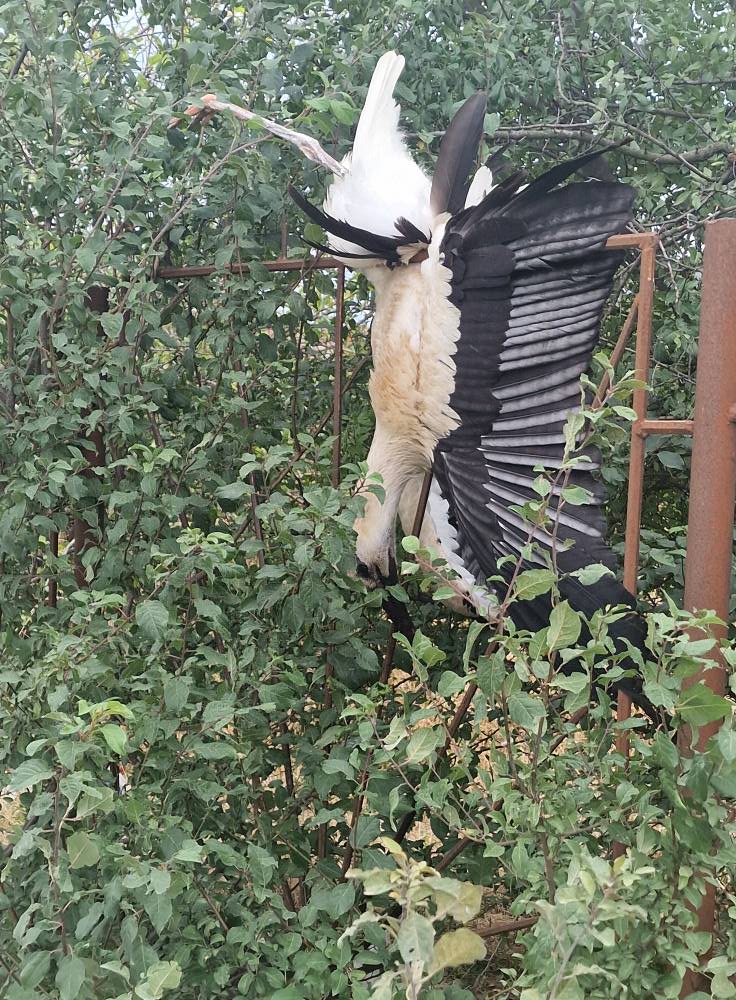 527116940_24339810548984237_5478662657358568464_n