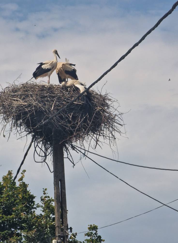 527331979_24339926945639264_5268525386350129705_n