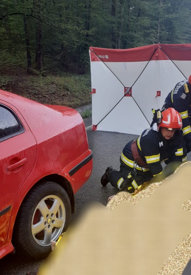 d23602a3-9a21-4182-9ddf-6c9d59f859e9