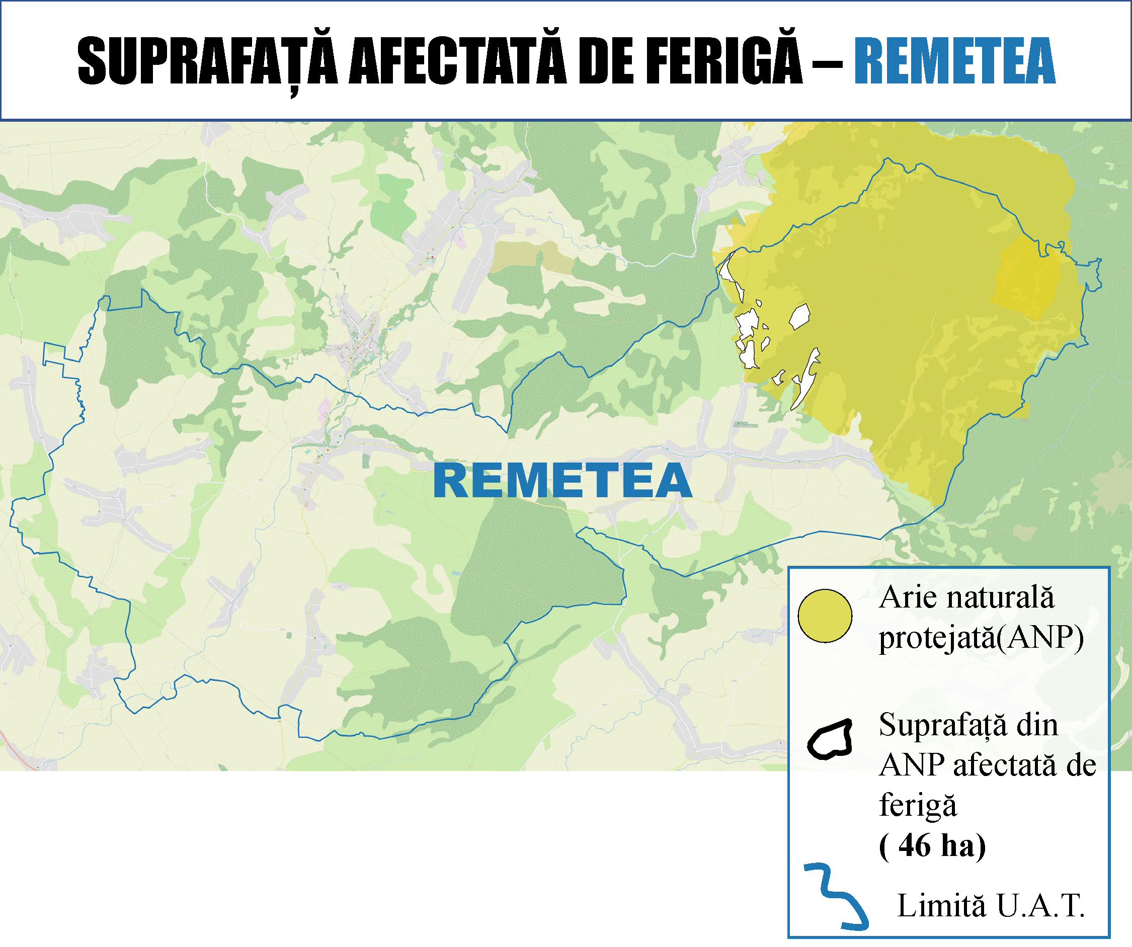 Ferigă Remetea