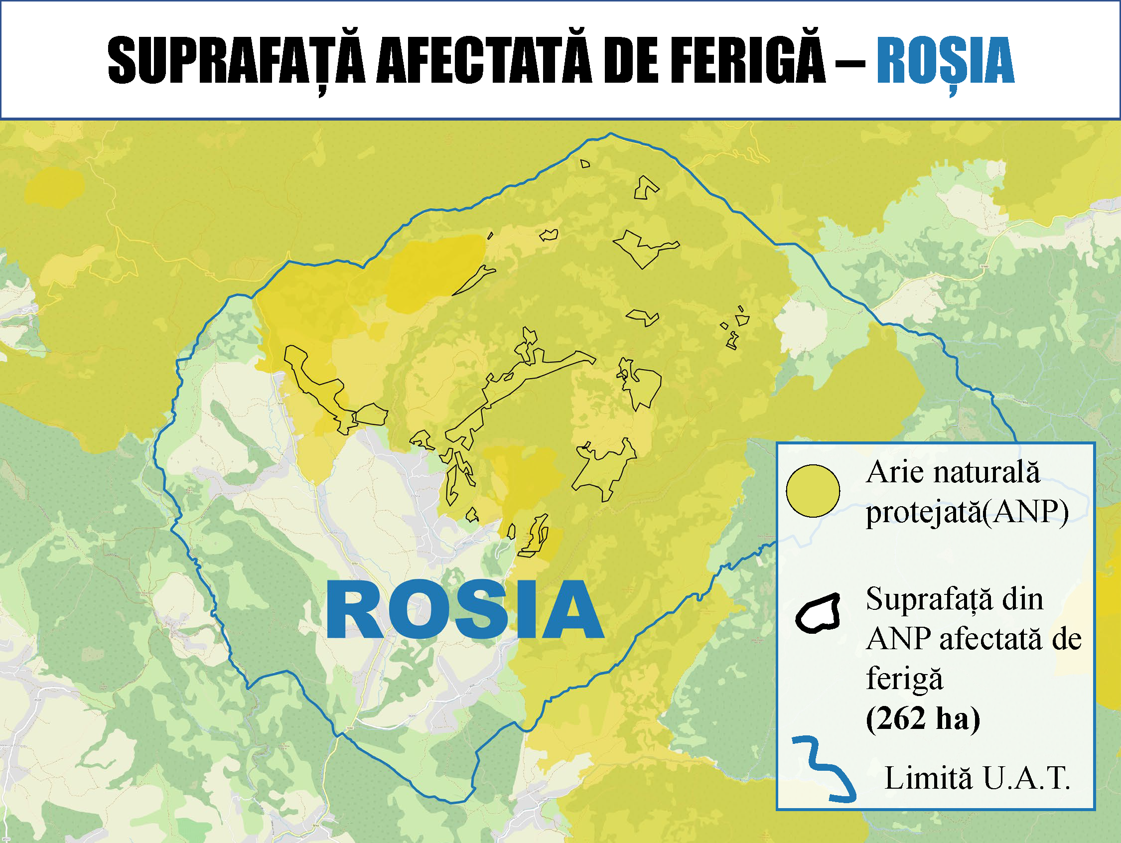 Ferigă Roșia
