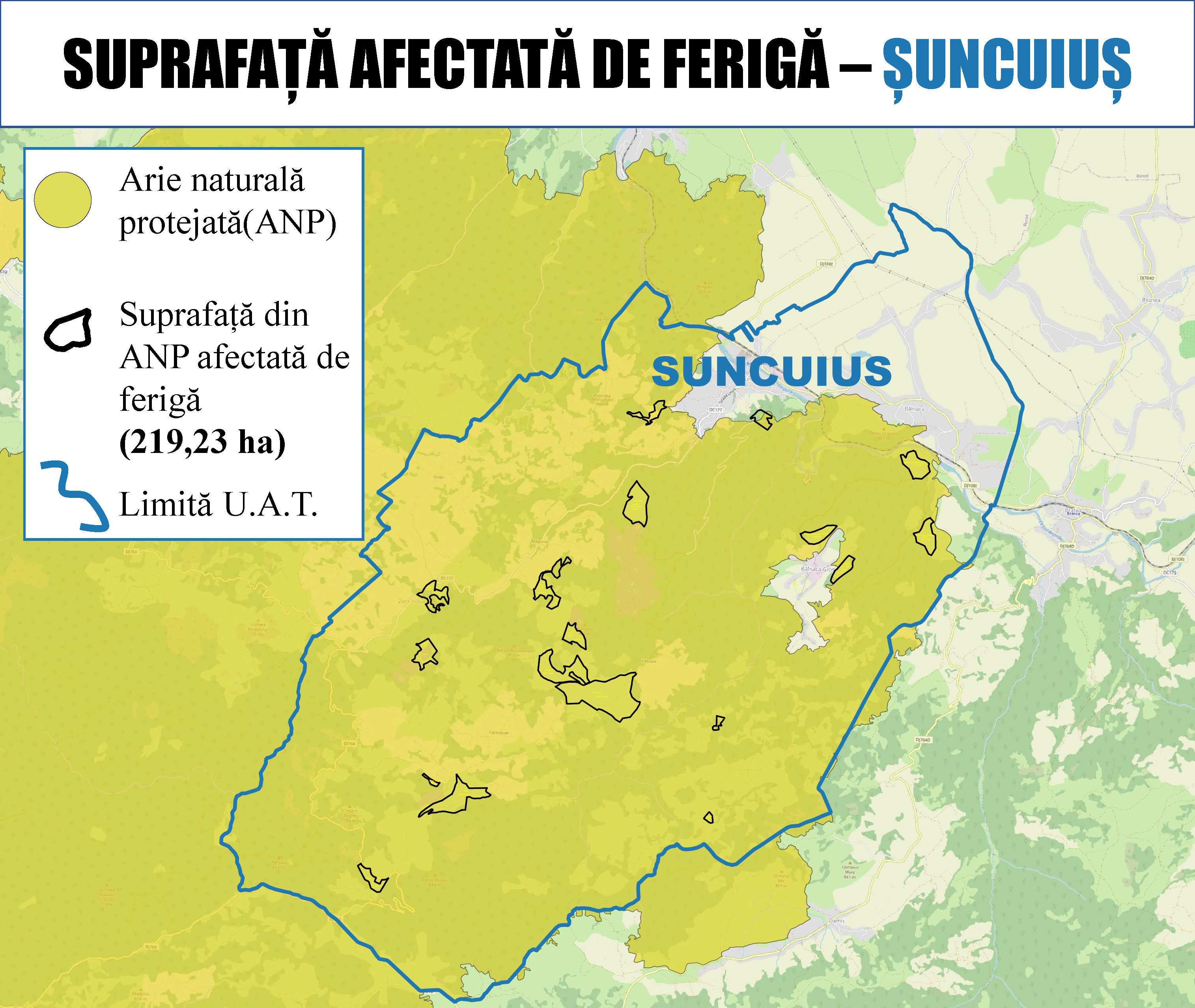 Ferigă Șuncuiuș