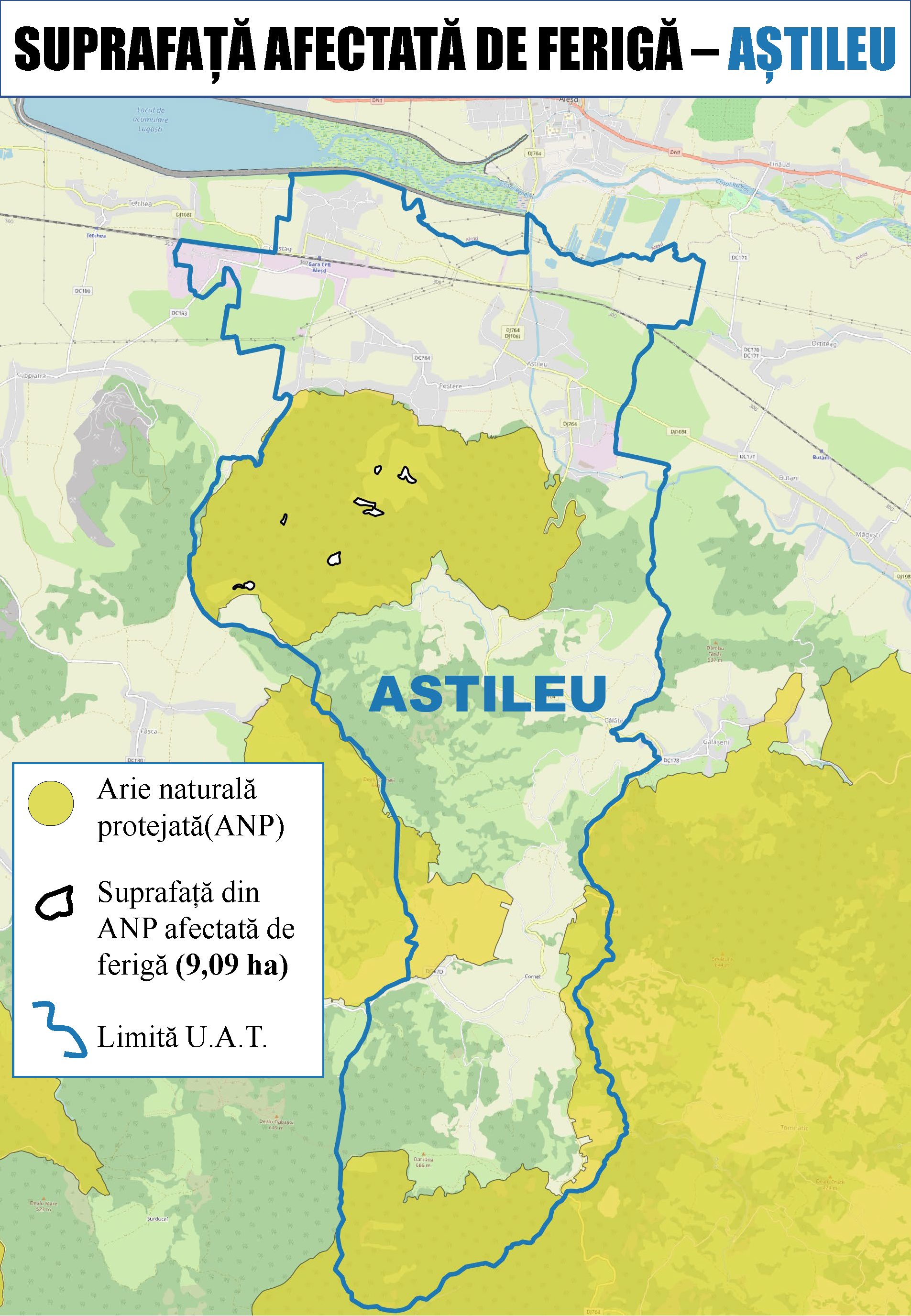 Ferigă Aștileu