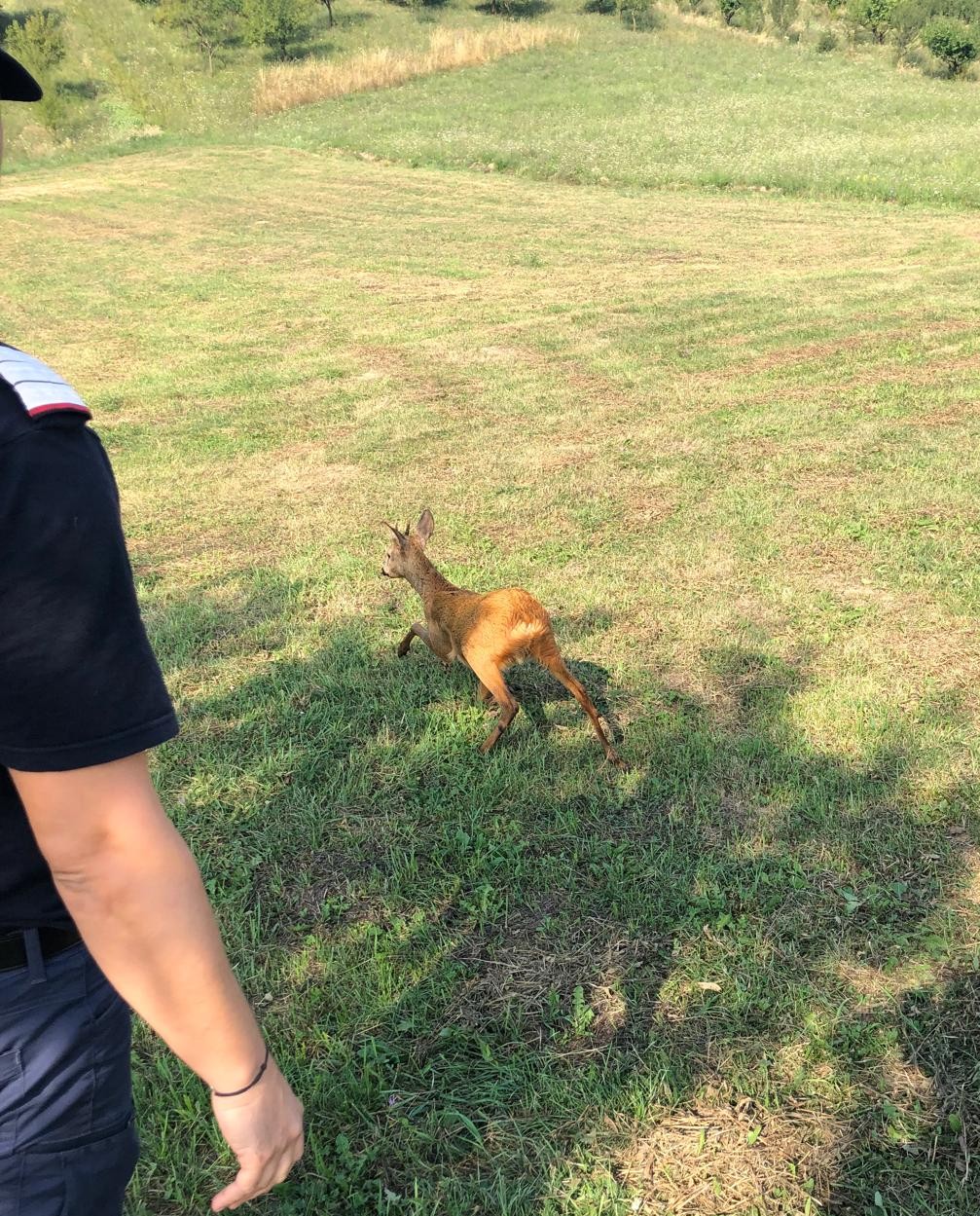 281e9fba-55ee-4573-be54-72c30004cc06