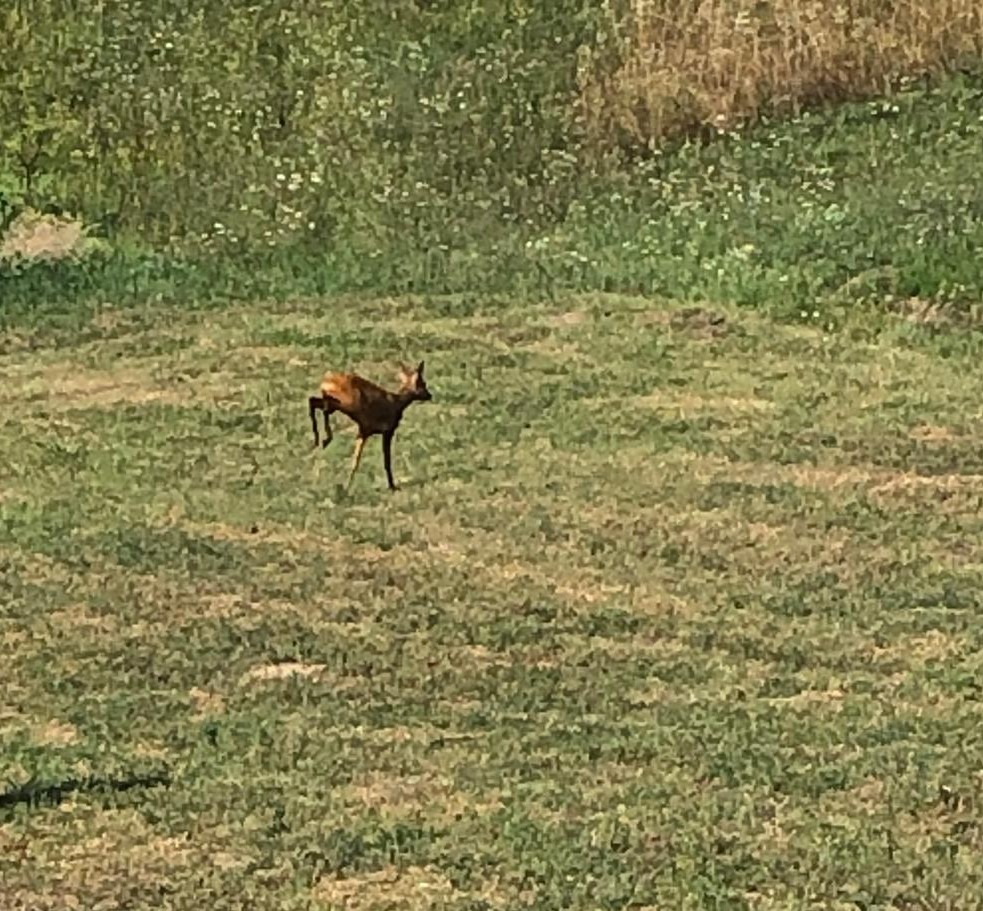 c72a9c6a-f52e-435e-bd04-10c383b0085b