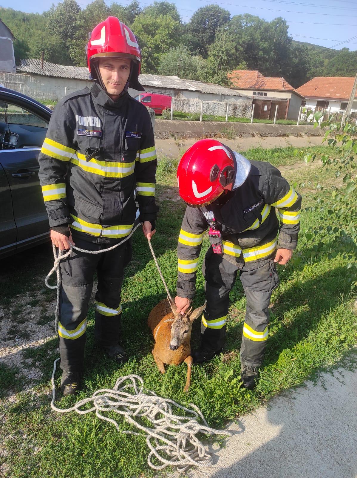 a33540df-7f90-4e58-8385-919fe8038378