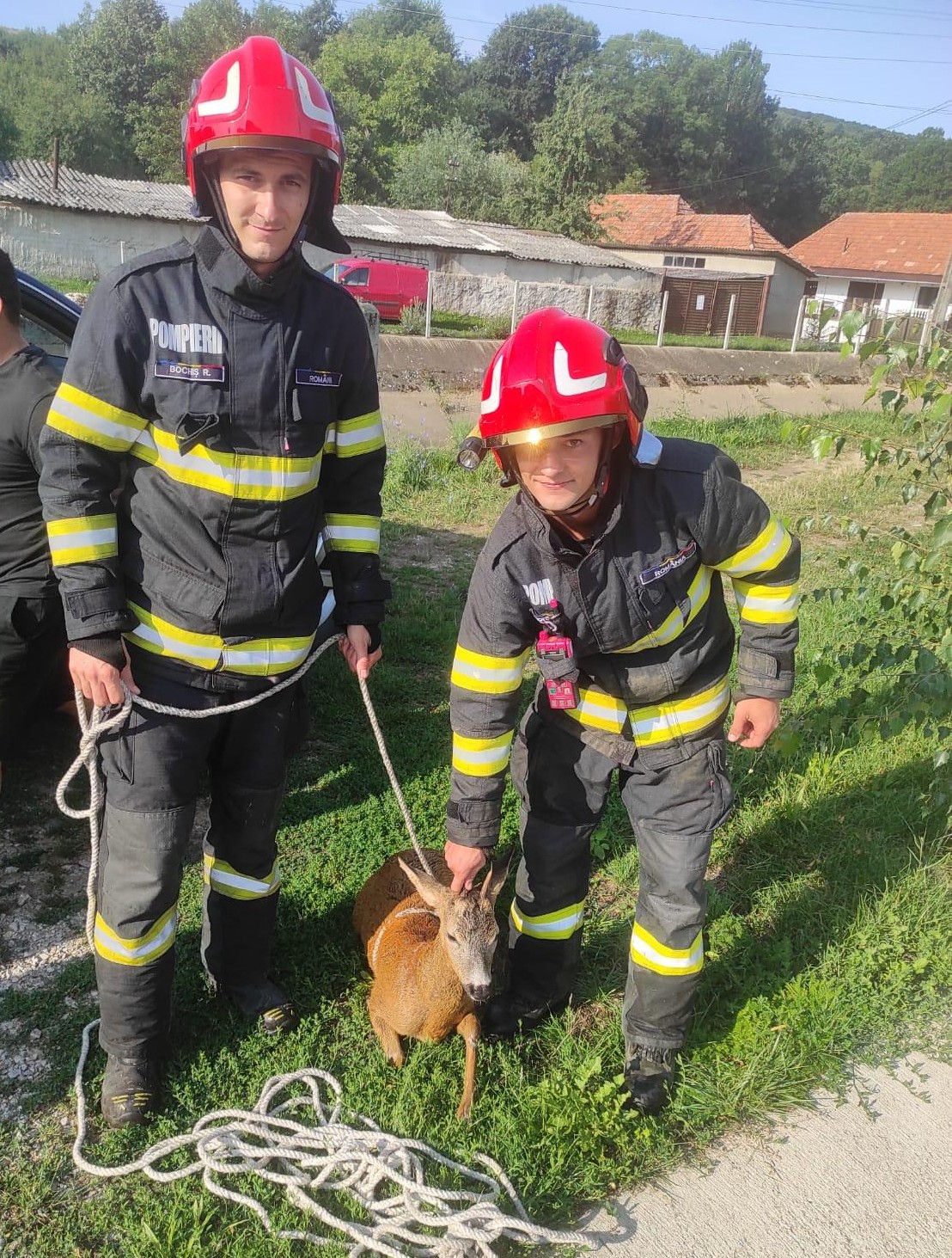 9de2c3f2-3bc9-4d39-bb49-2c63fad55870