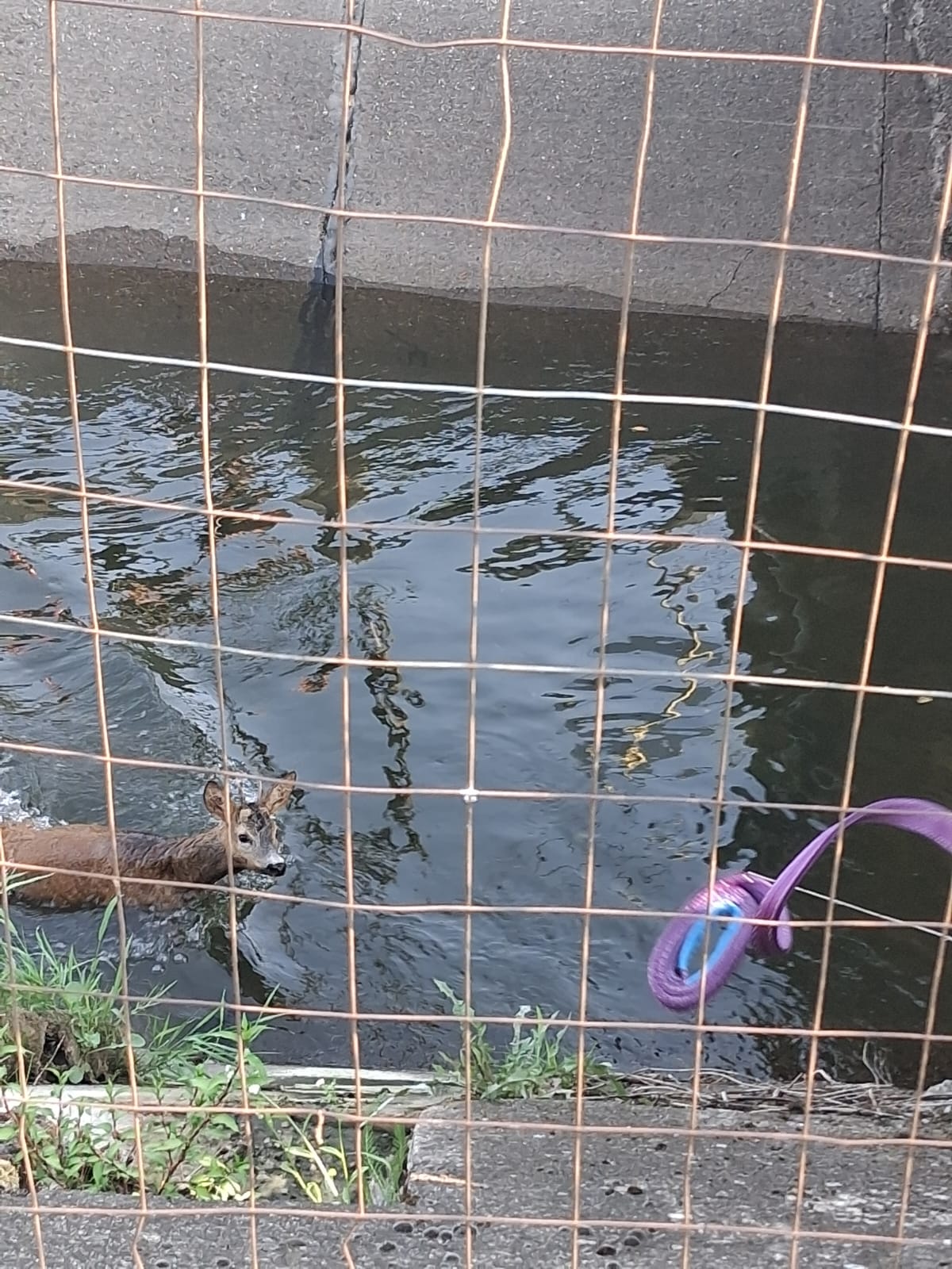 0eee433b-8652-498a-86c4-ef7eeb7b2eb6