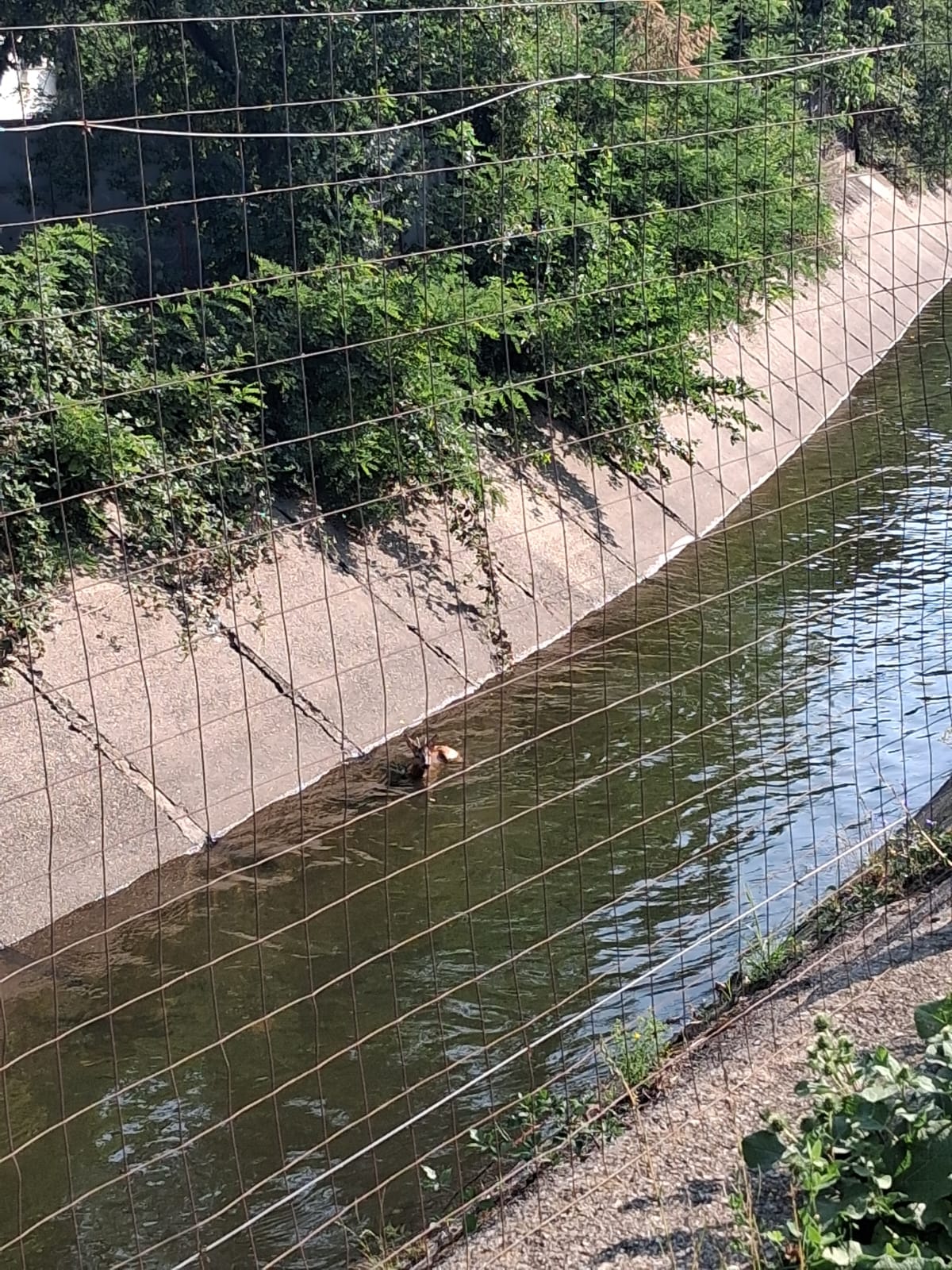 bb0ca0e1-6033-4d60-81b1-0eb82f704af0