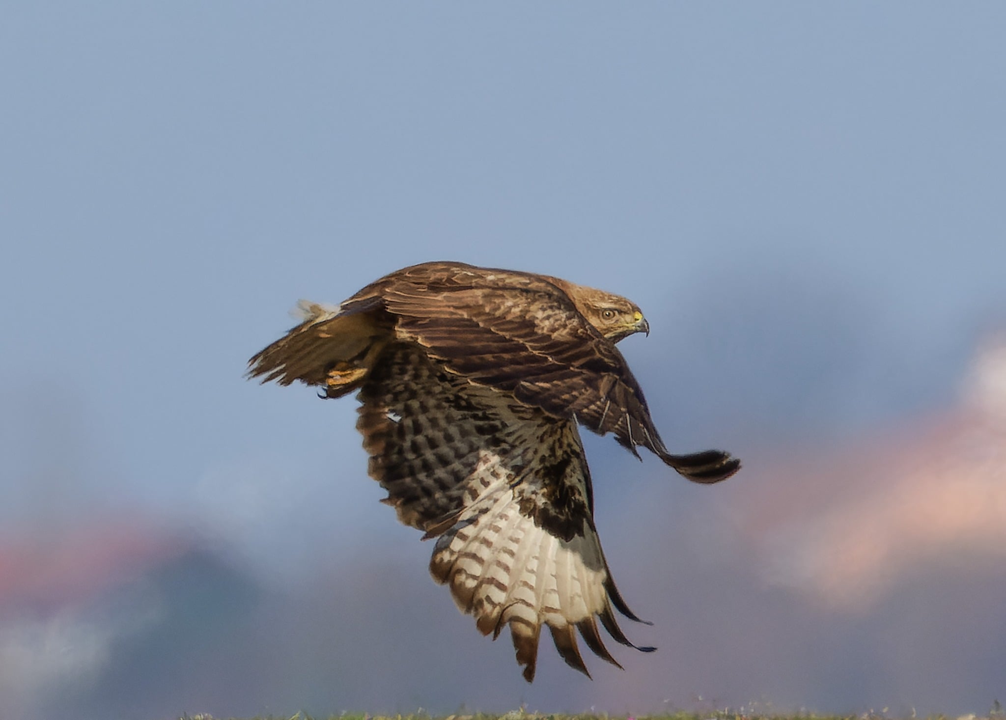 Foto Lazăr Constantin (19)