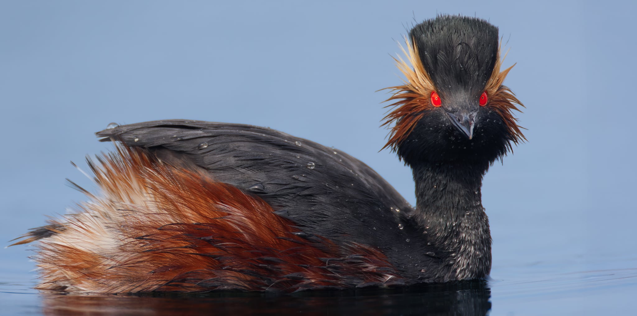 Foto Lazăr Constantin (20)