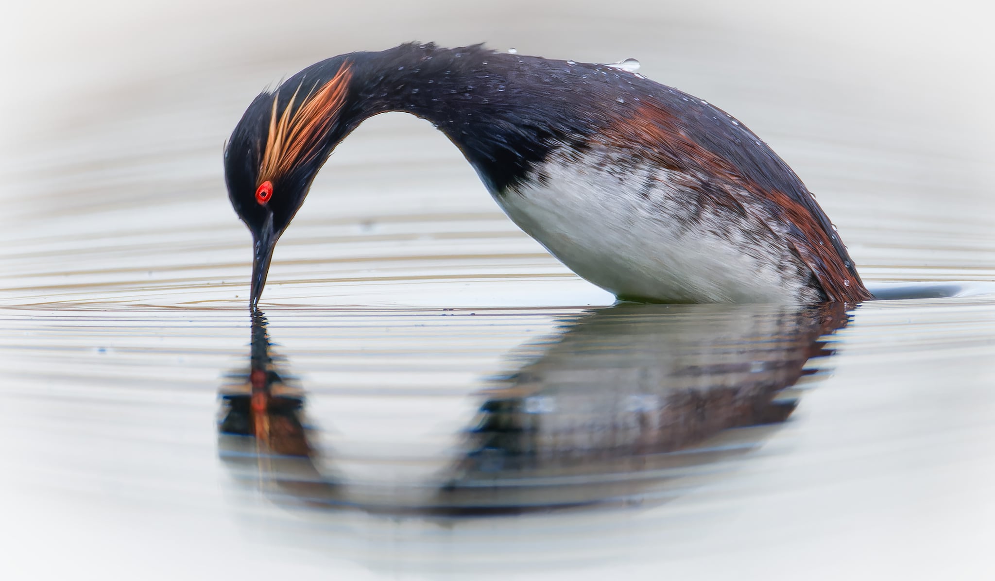 Foto Lazăr Constantin (21)