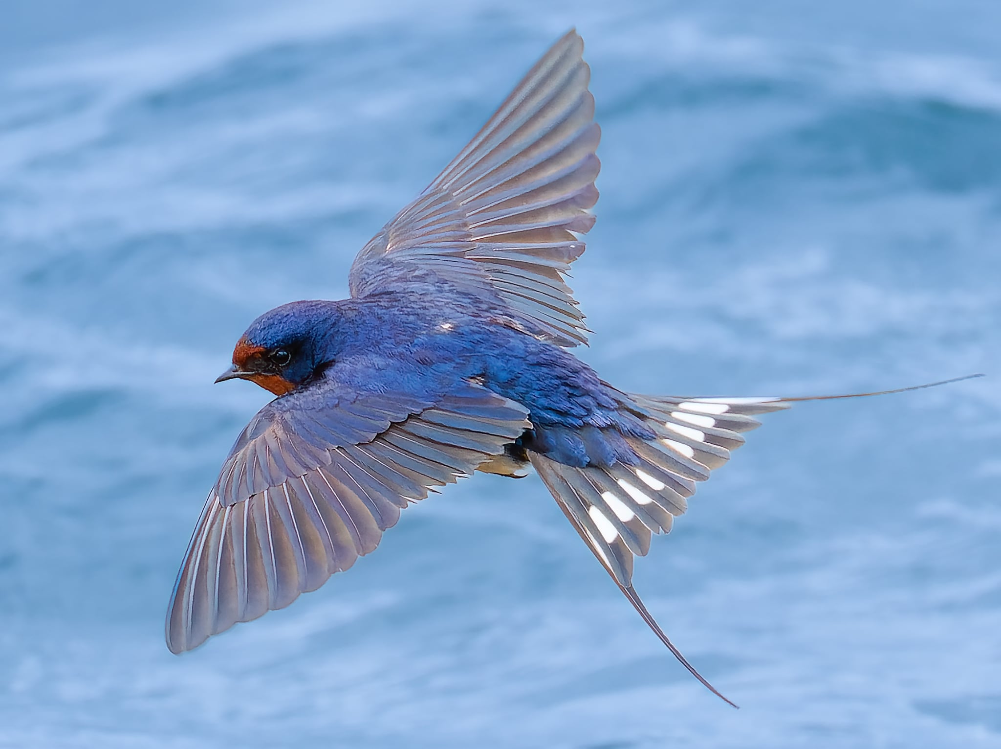Foto Lazăr Constantin (28)
