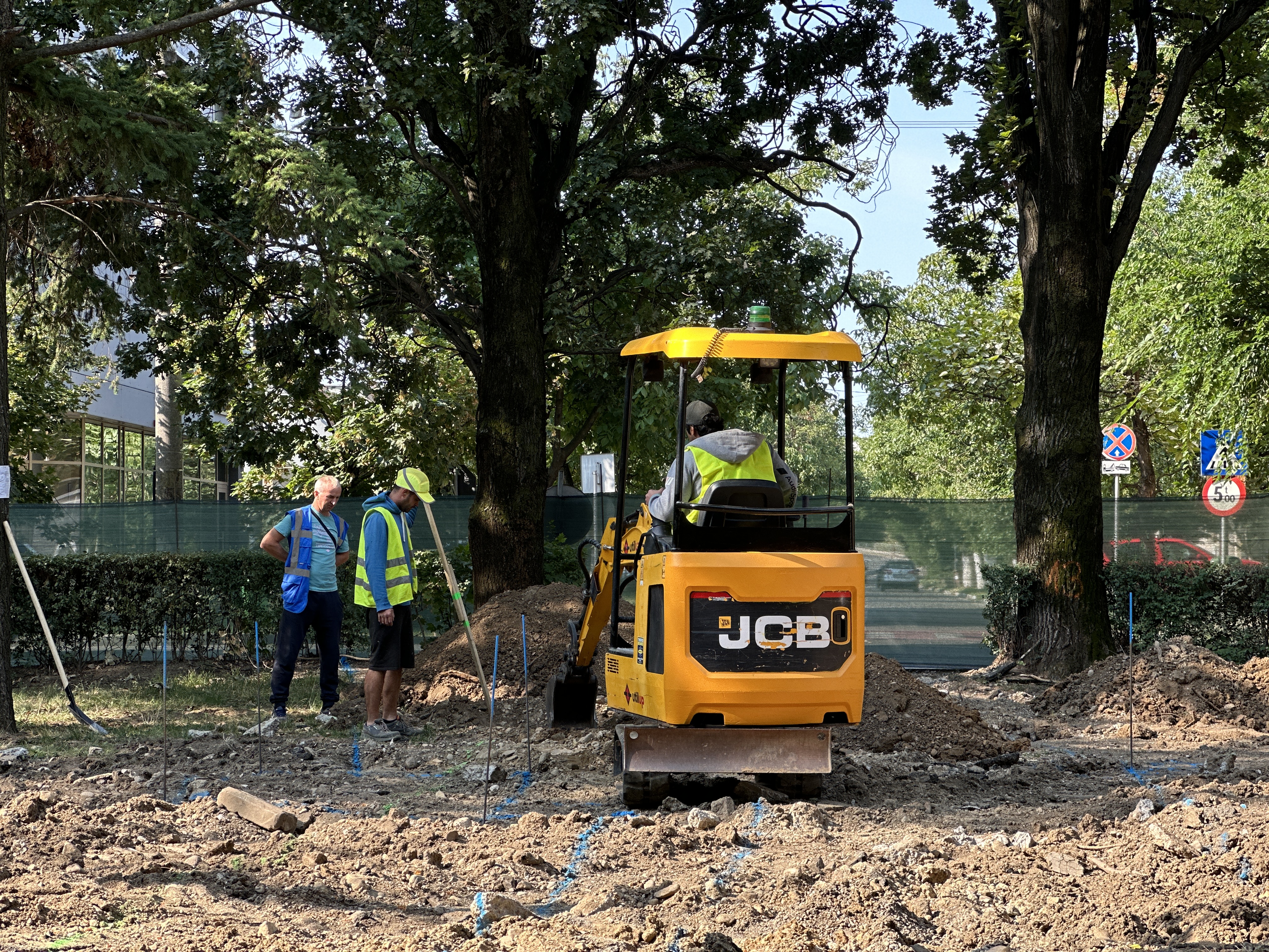 parcul 22 decembrie (13)