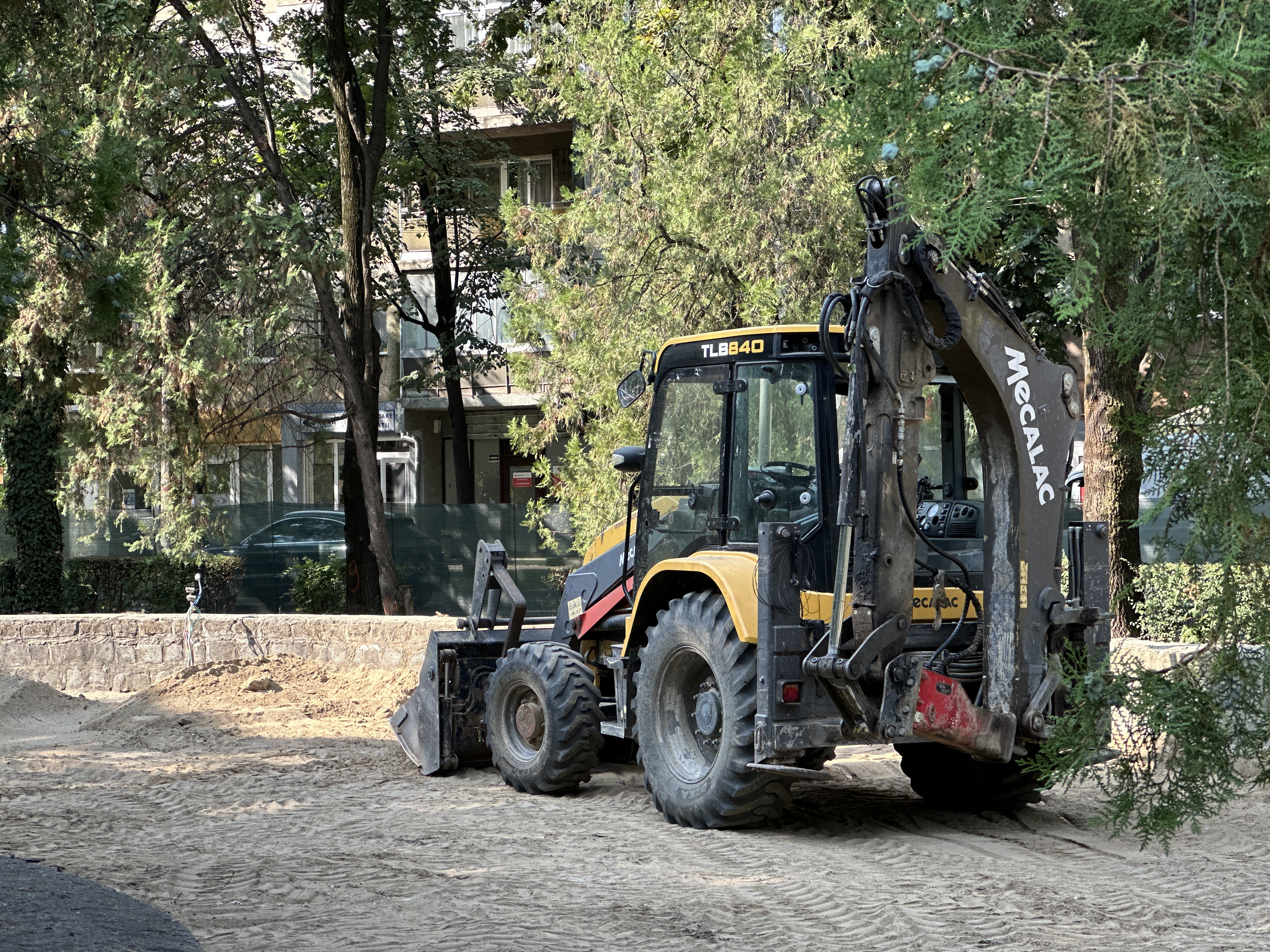 parcul 22 decembrie (14)