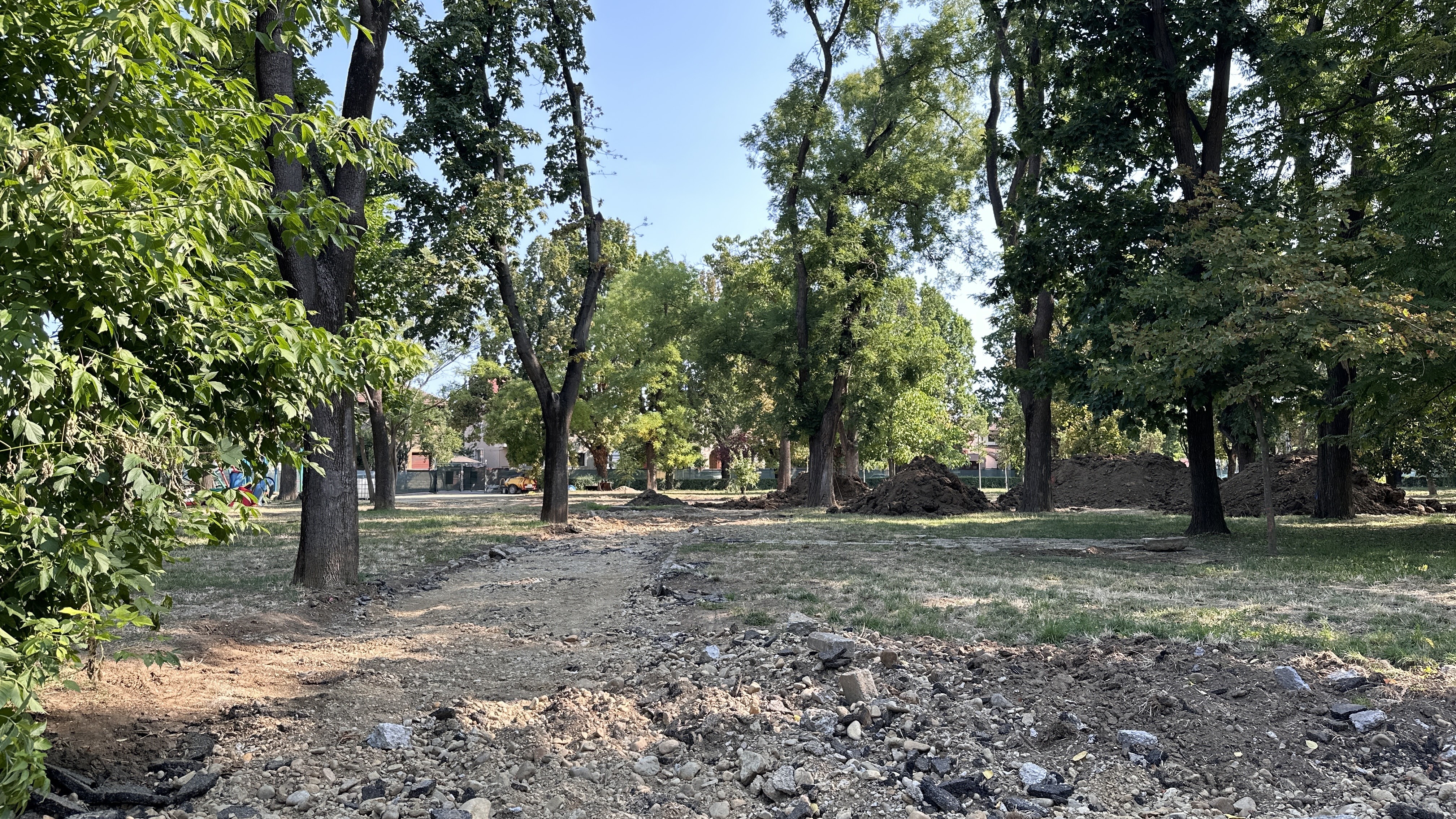 parcul 22 decembrie (16)