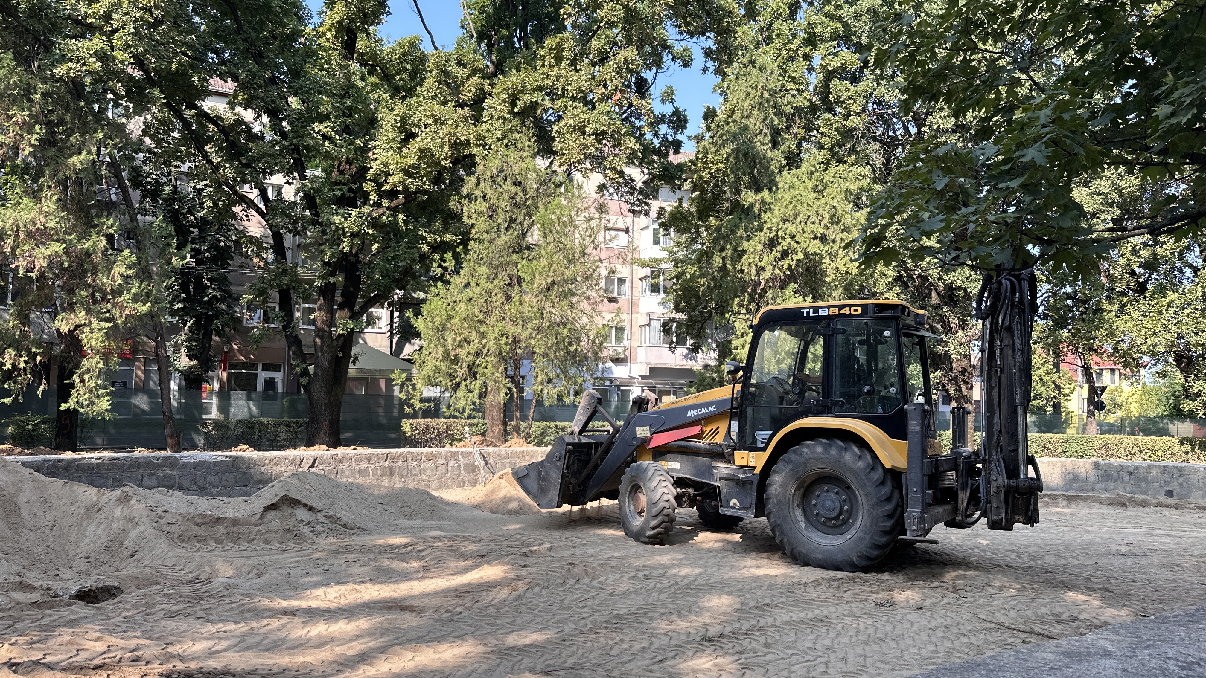 parcul 22 decembrie (17)