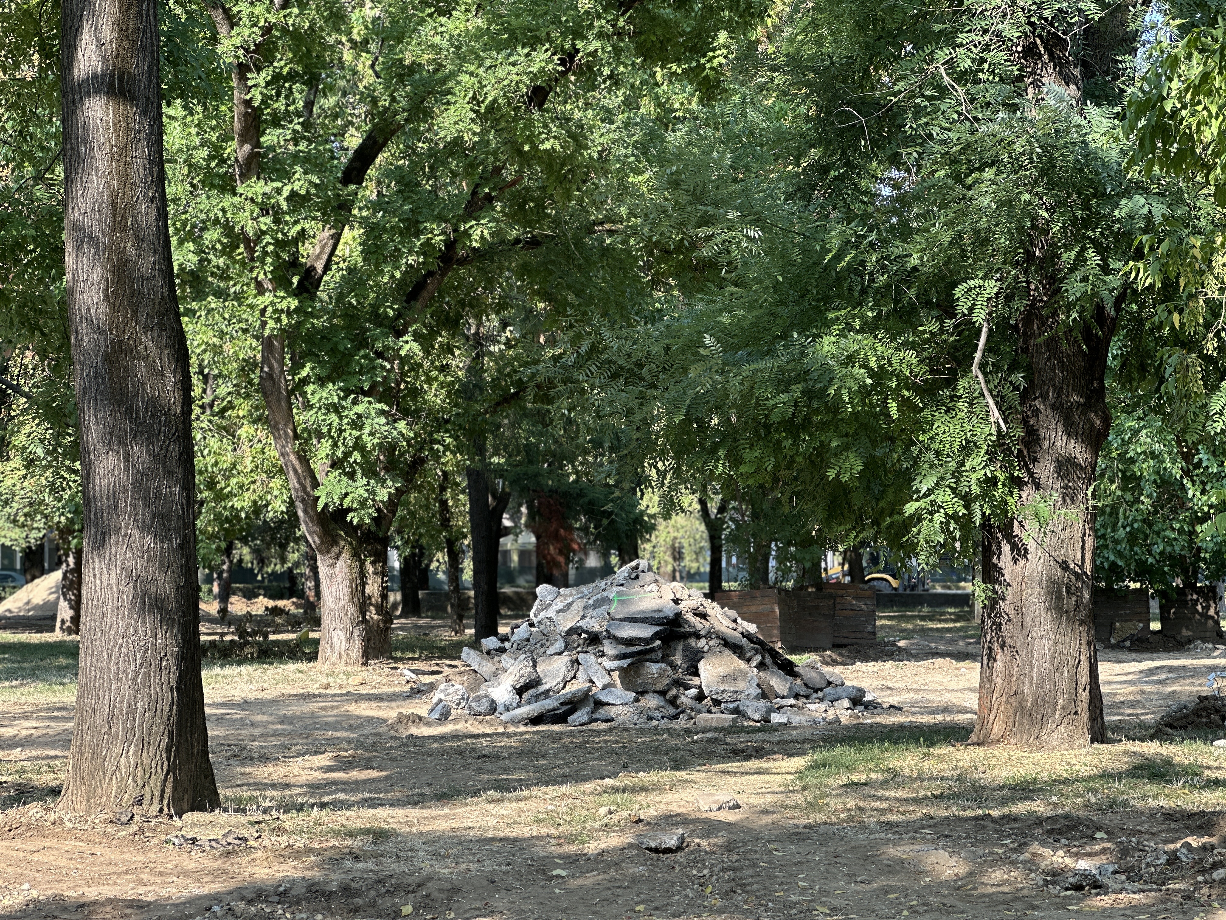 parcul 22 decembrie (8)