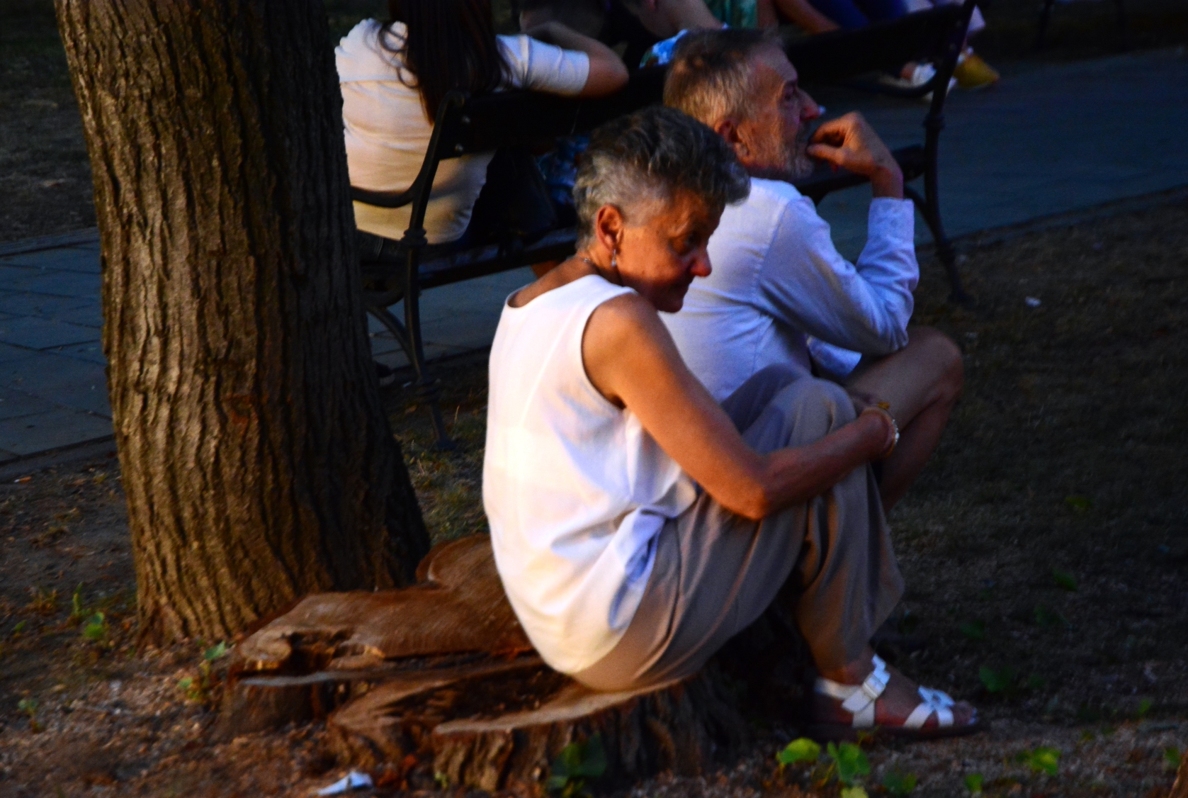 Horaţiu Mălăele la Muzeul Ţării Crişurilor (34)