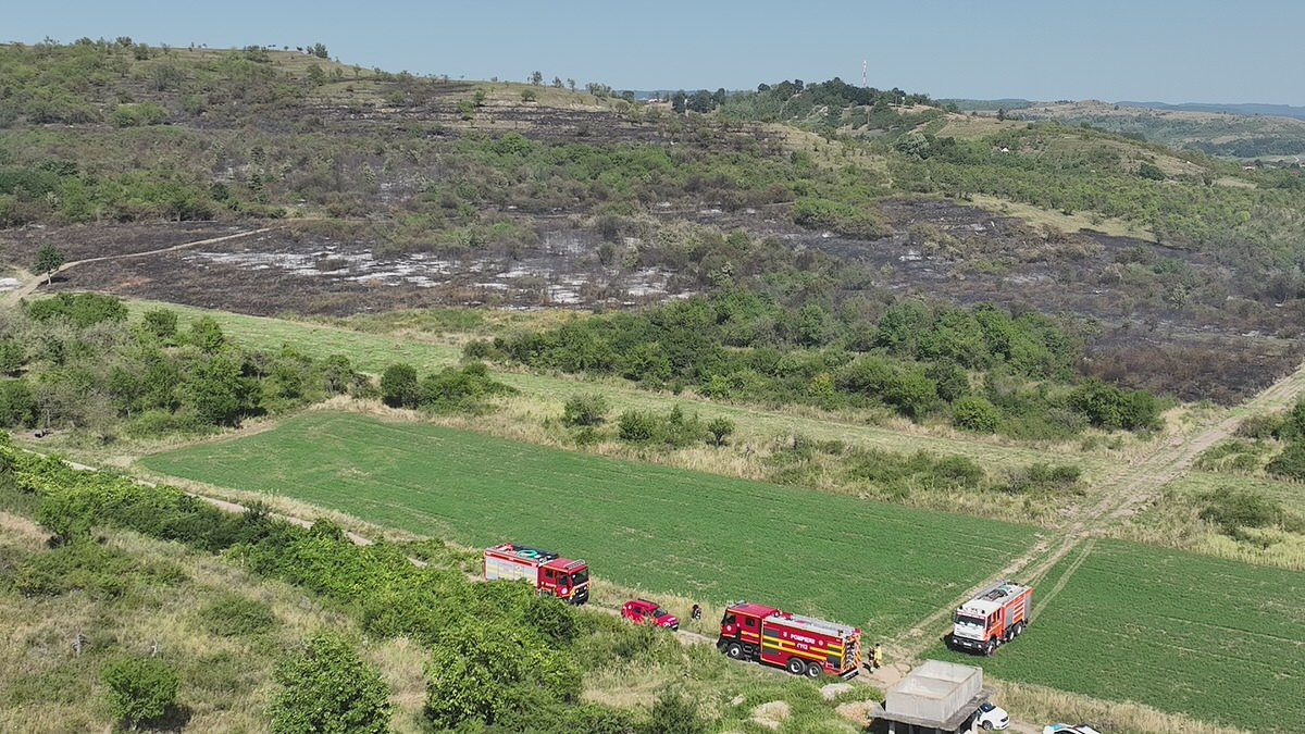 WhatsApp Image 2025-08-14 at 20.03.53