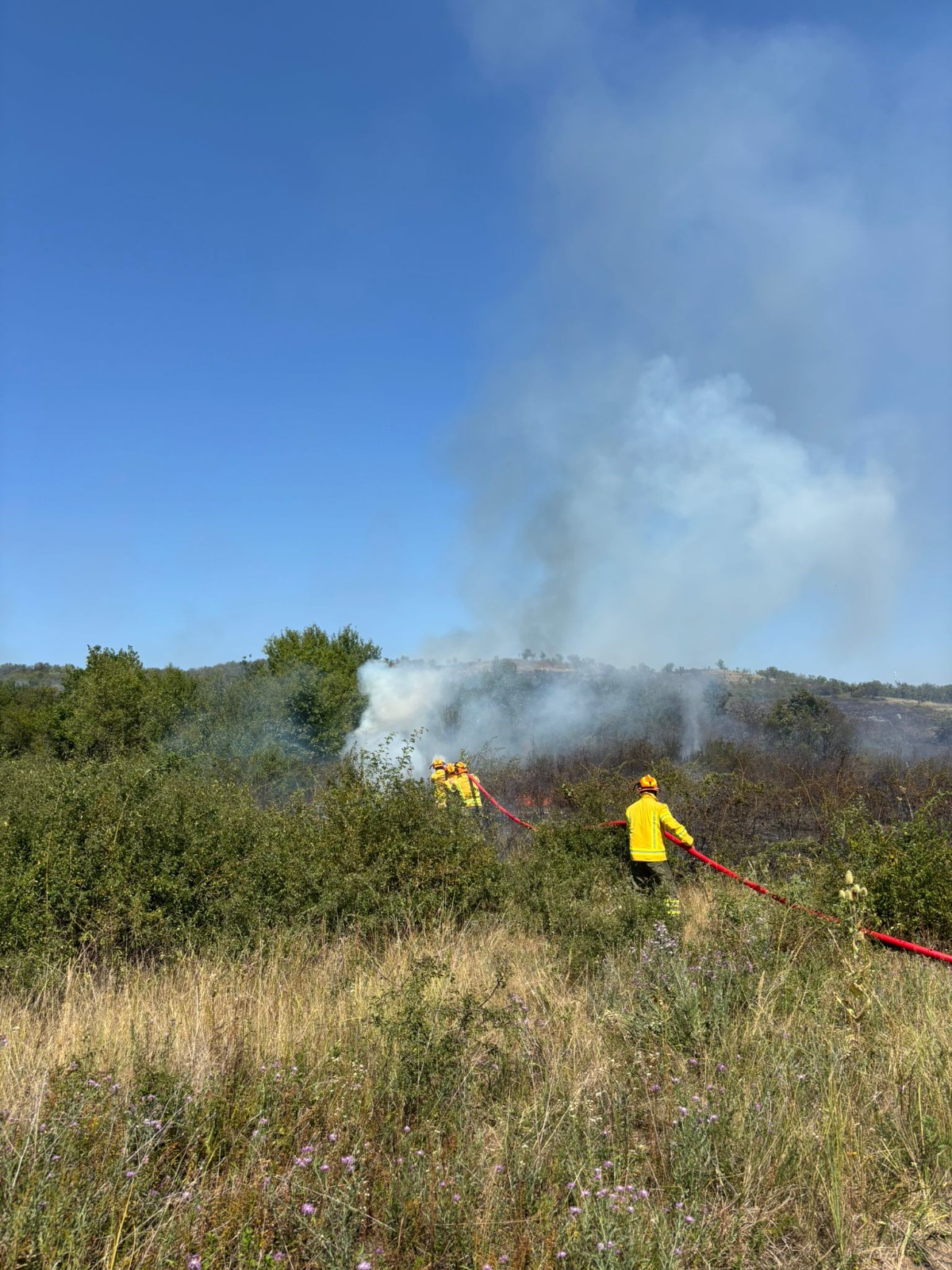 WhatsApp Image 2025-08-14 at 20.03.55