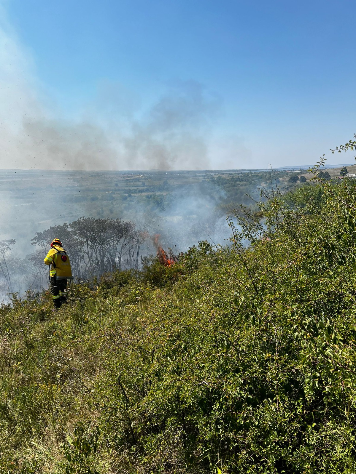 WhatsApp Image 2025-08-14 at 20.03.56