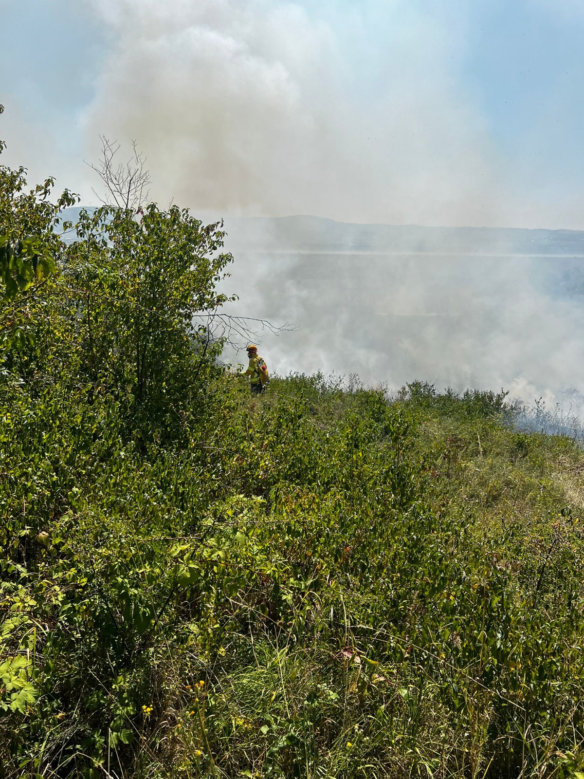 WhatsApp Image 2025-08-14 at 20.03.58