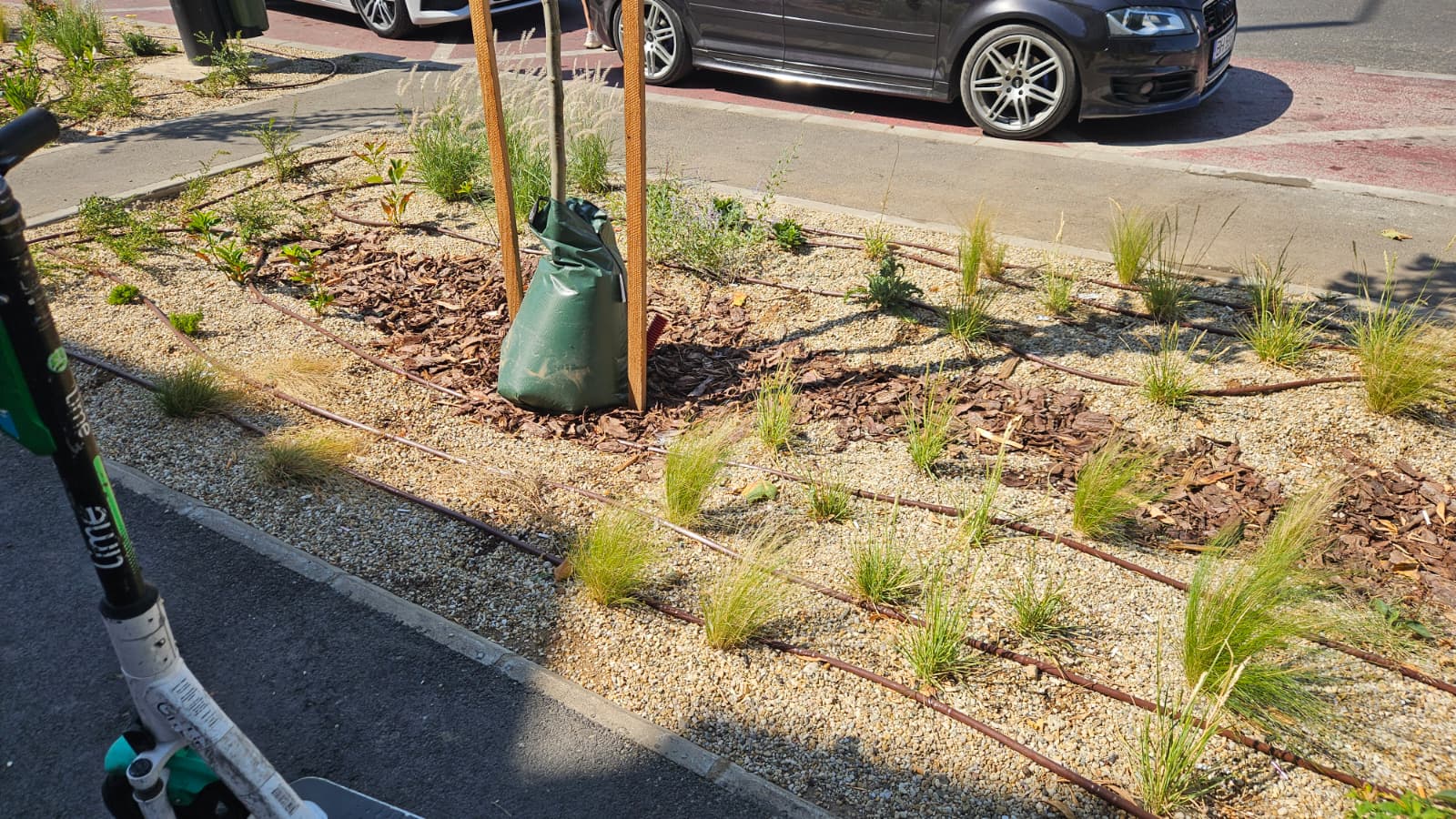 99cb2e58-b176-4ce0-b358-9f6ac8aa49c8