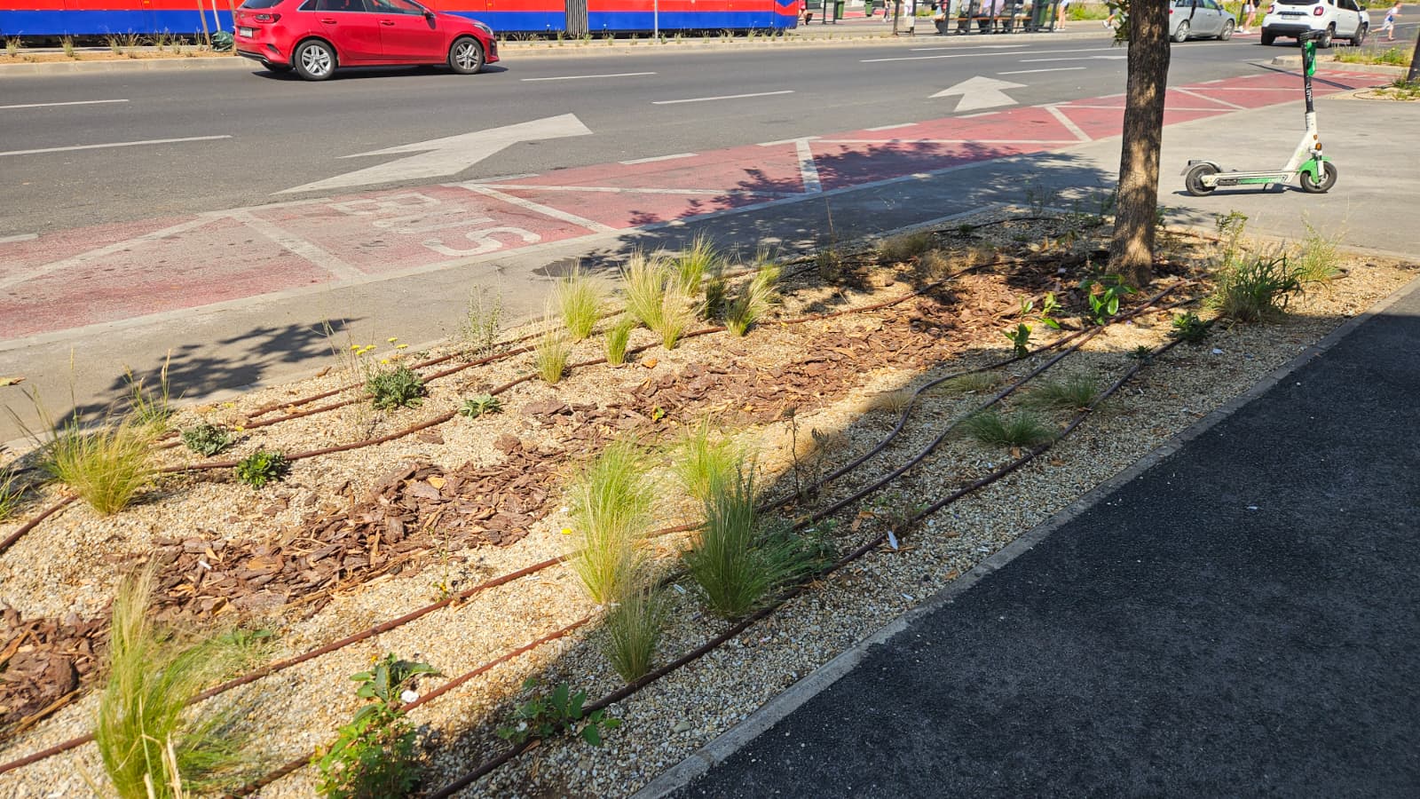 c1b41f8c-034b-45f2-9be8-e13e6ee8a07d