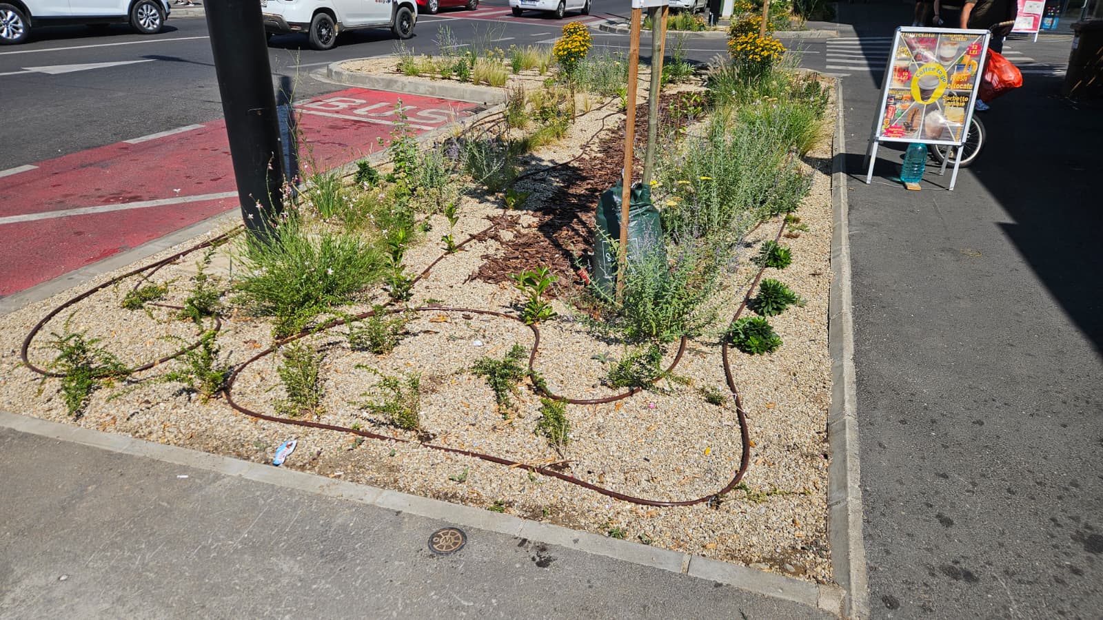 73c655ec-9d45-4b53-ad0e-7f27873f4a2e