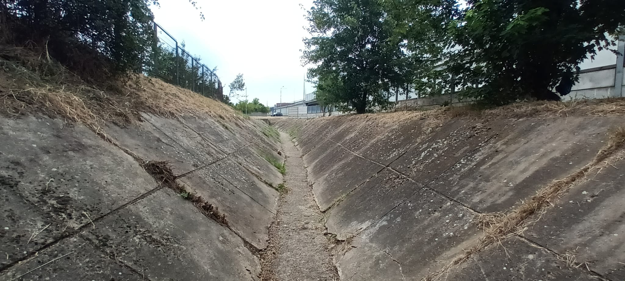 WhatsApp Image 2025-08-21 at 11.39.30_6647e762