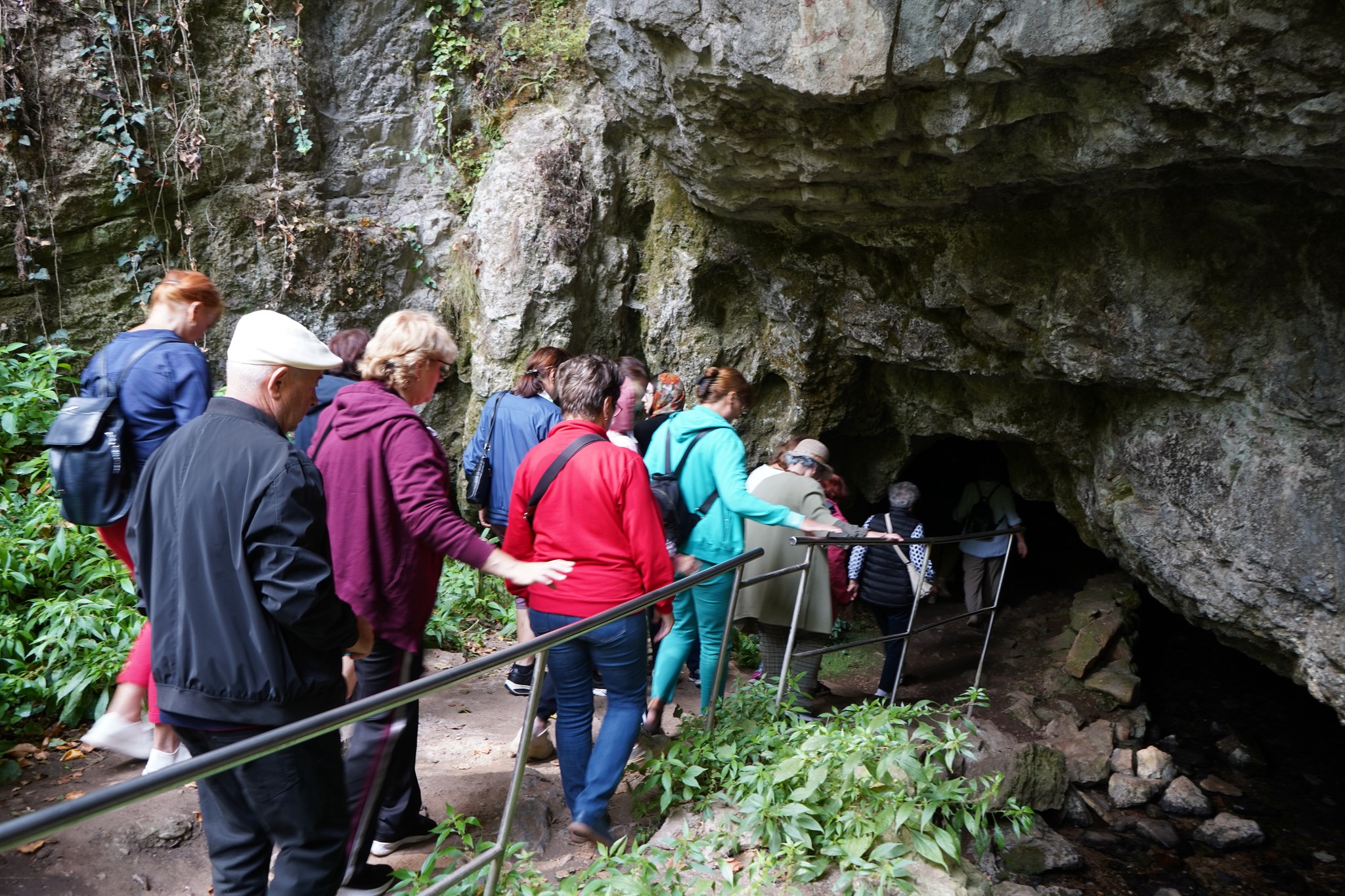 peştera vadu crisului
